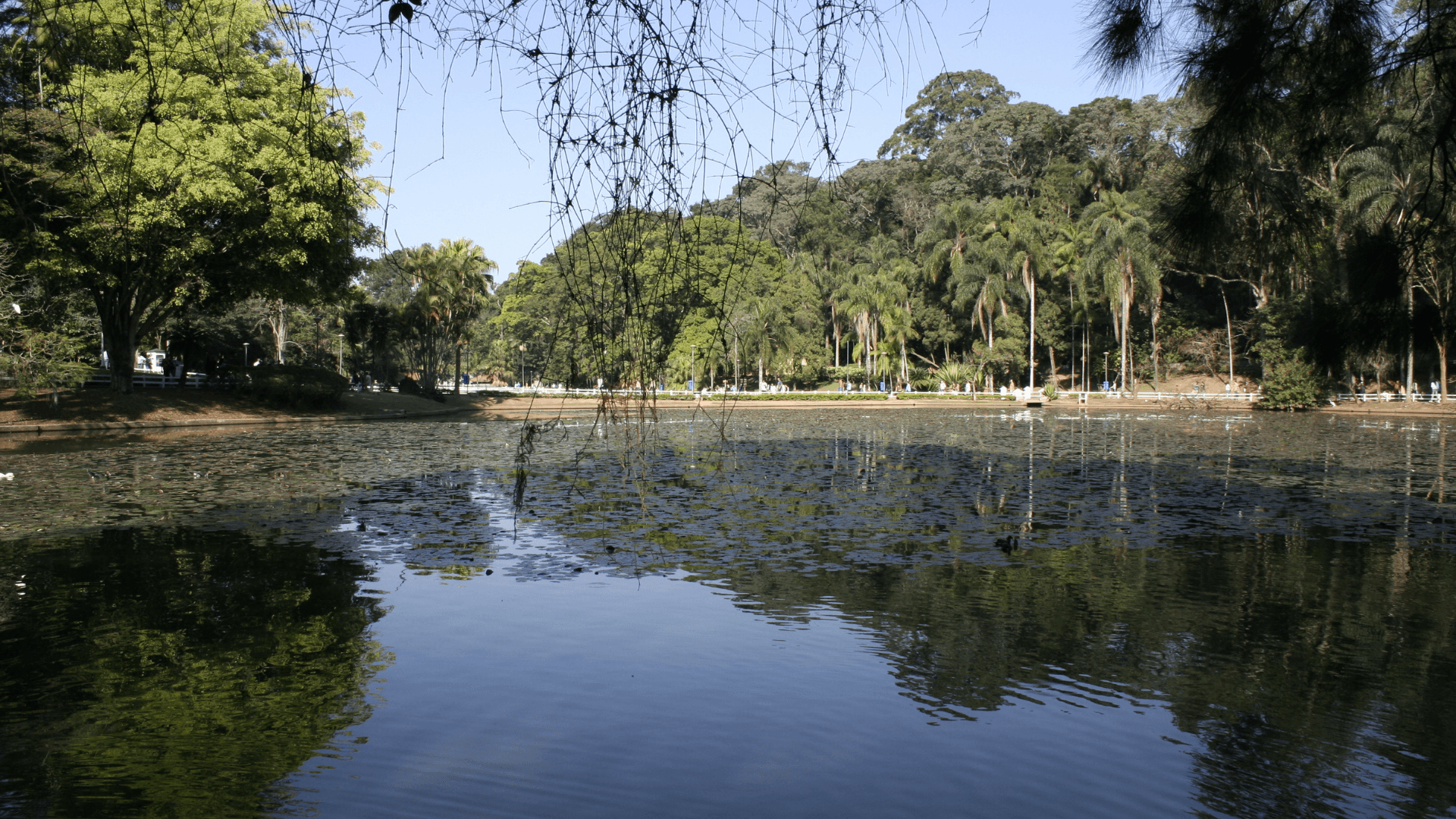 Homes for sale in Downtown Austin TX