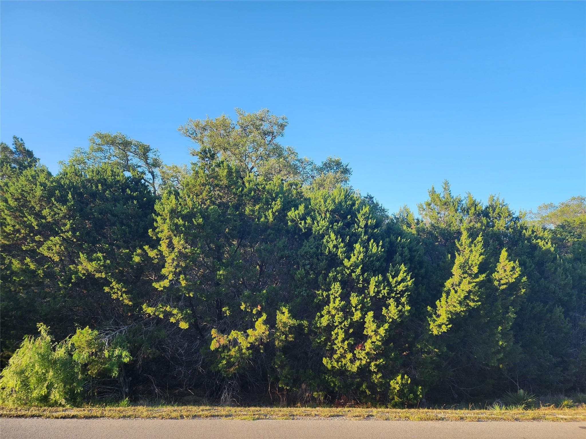 21304  Highland Lake Dr  