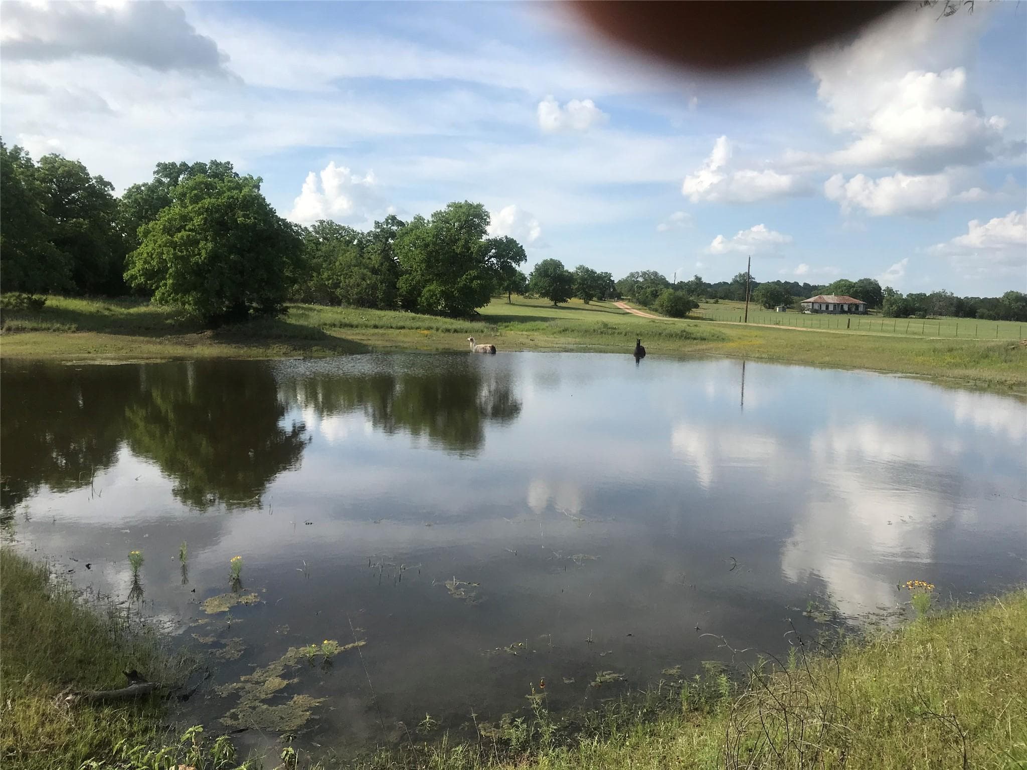 504  Sandy School Rd