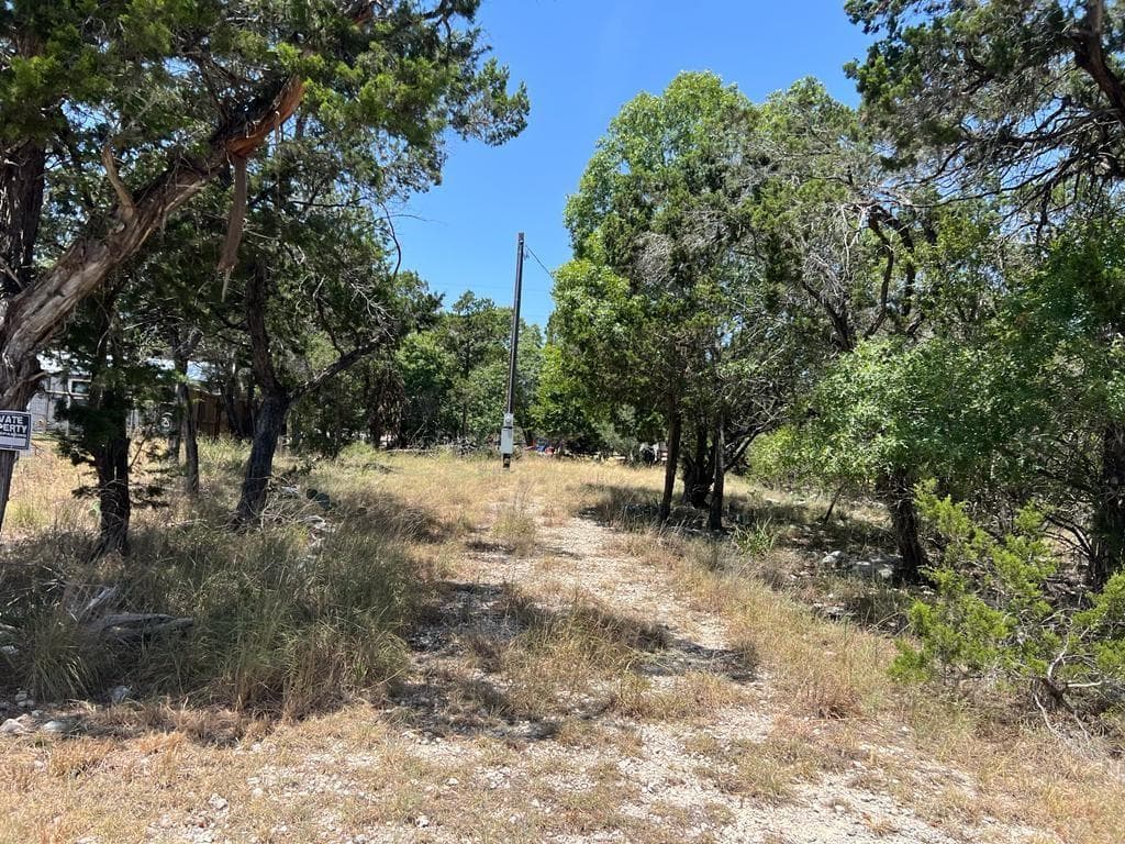 619 Cactus Flower None