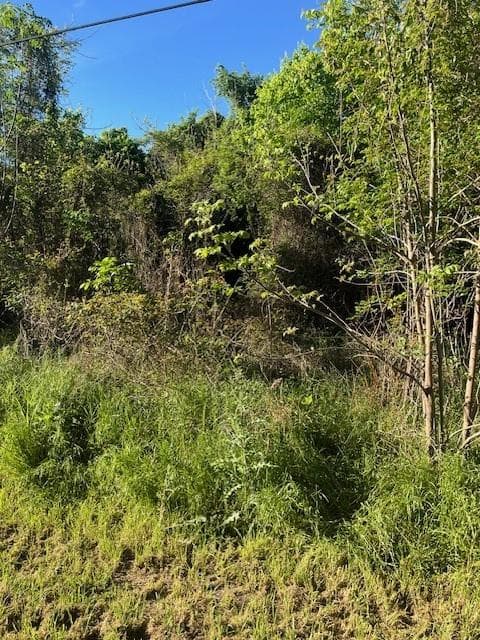 171  Kahana Ln