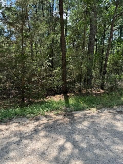 Lot 250 Hekili Dr