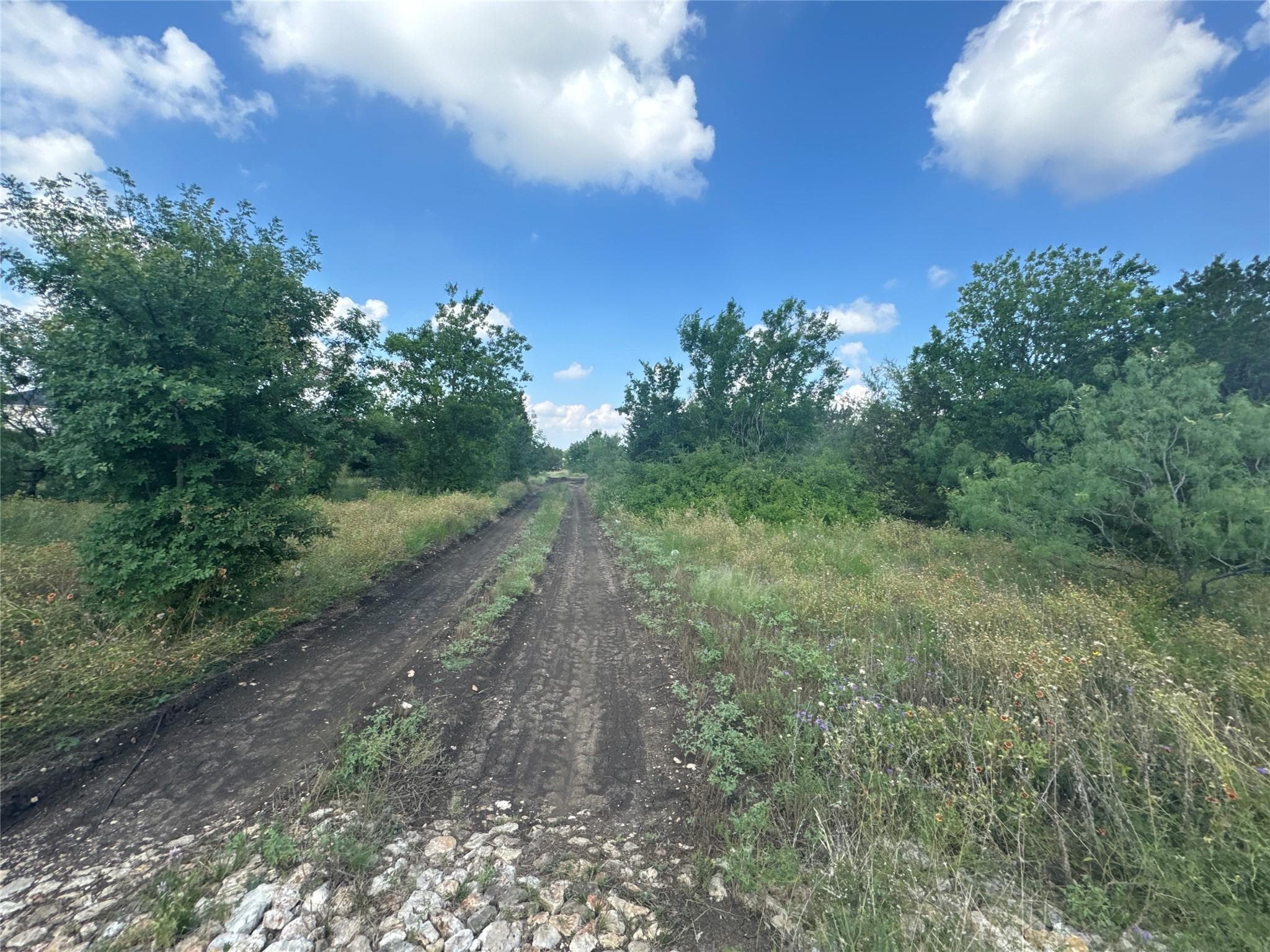 3000 Sunrise Rd