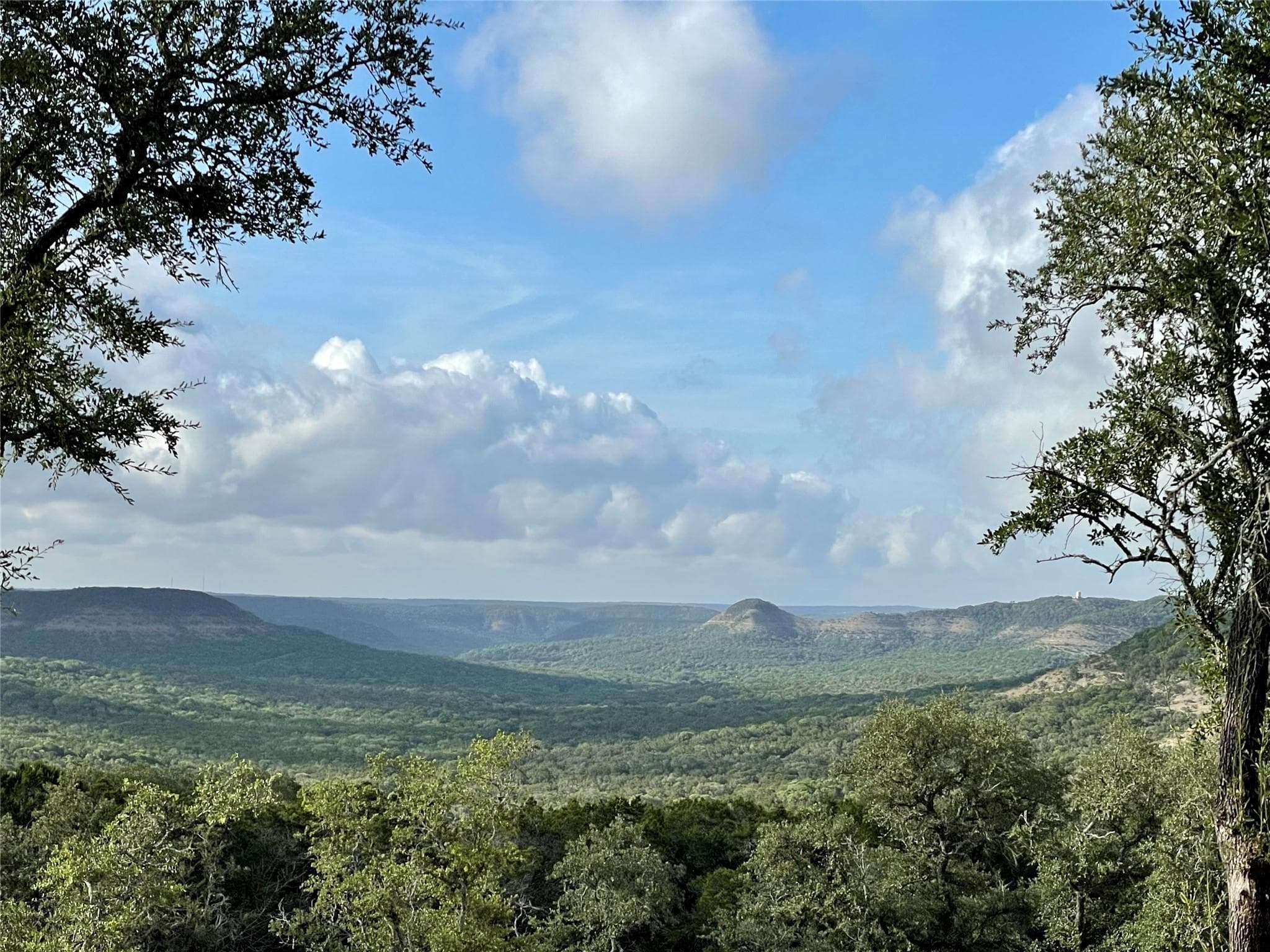 640  Ghost Dancer None