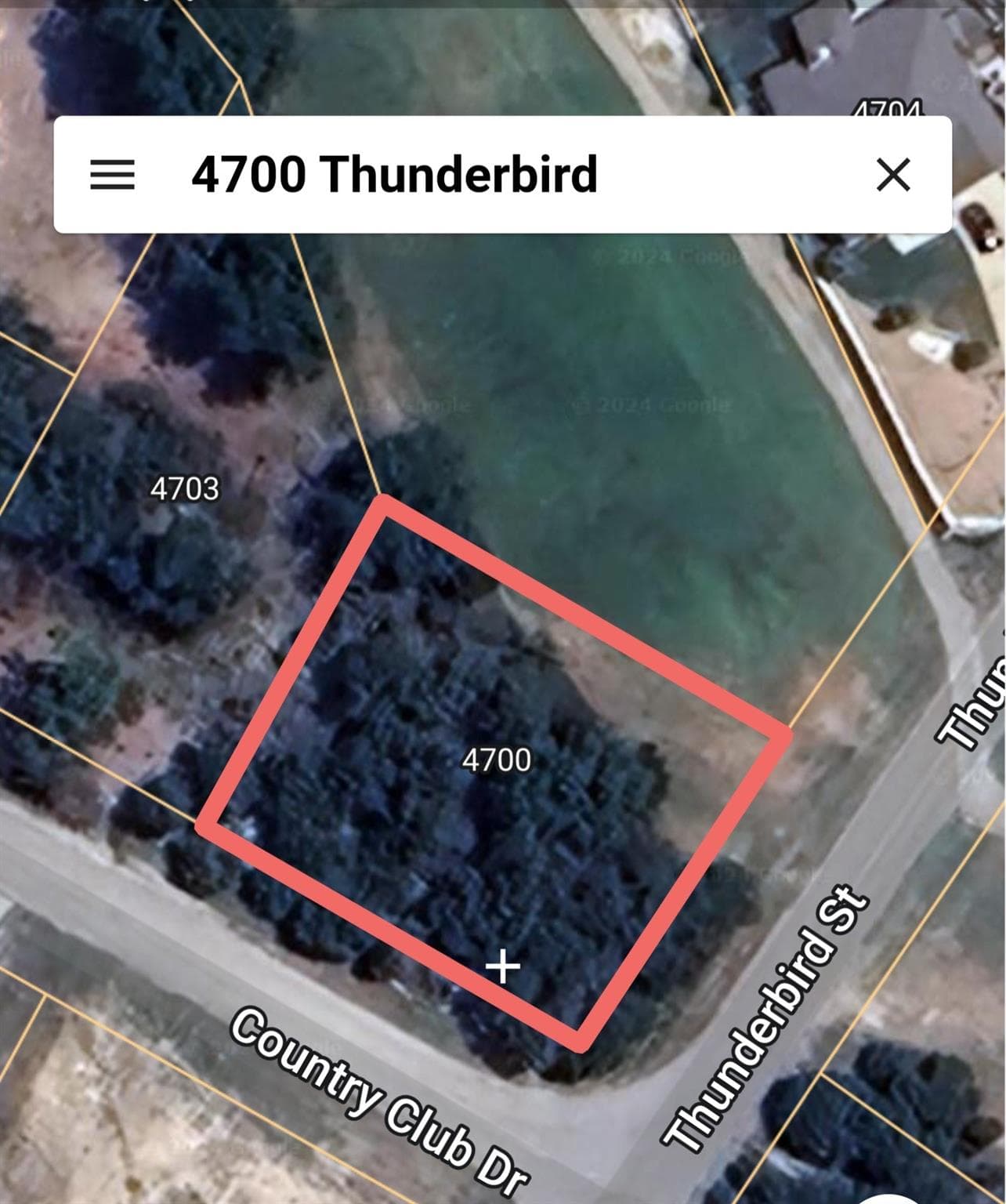 4700  Thunderbird None