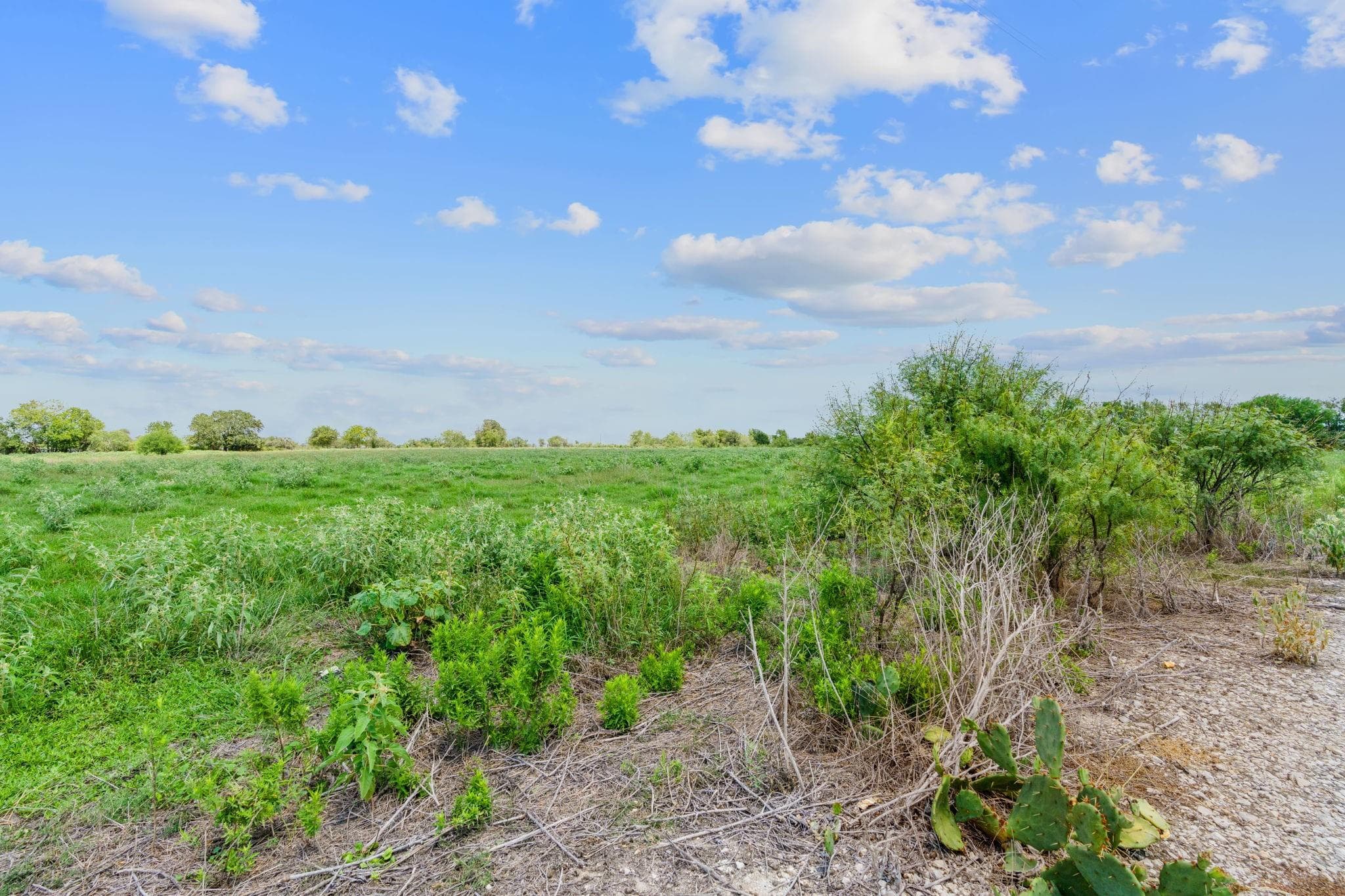 Lot 7 County Road 402 None