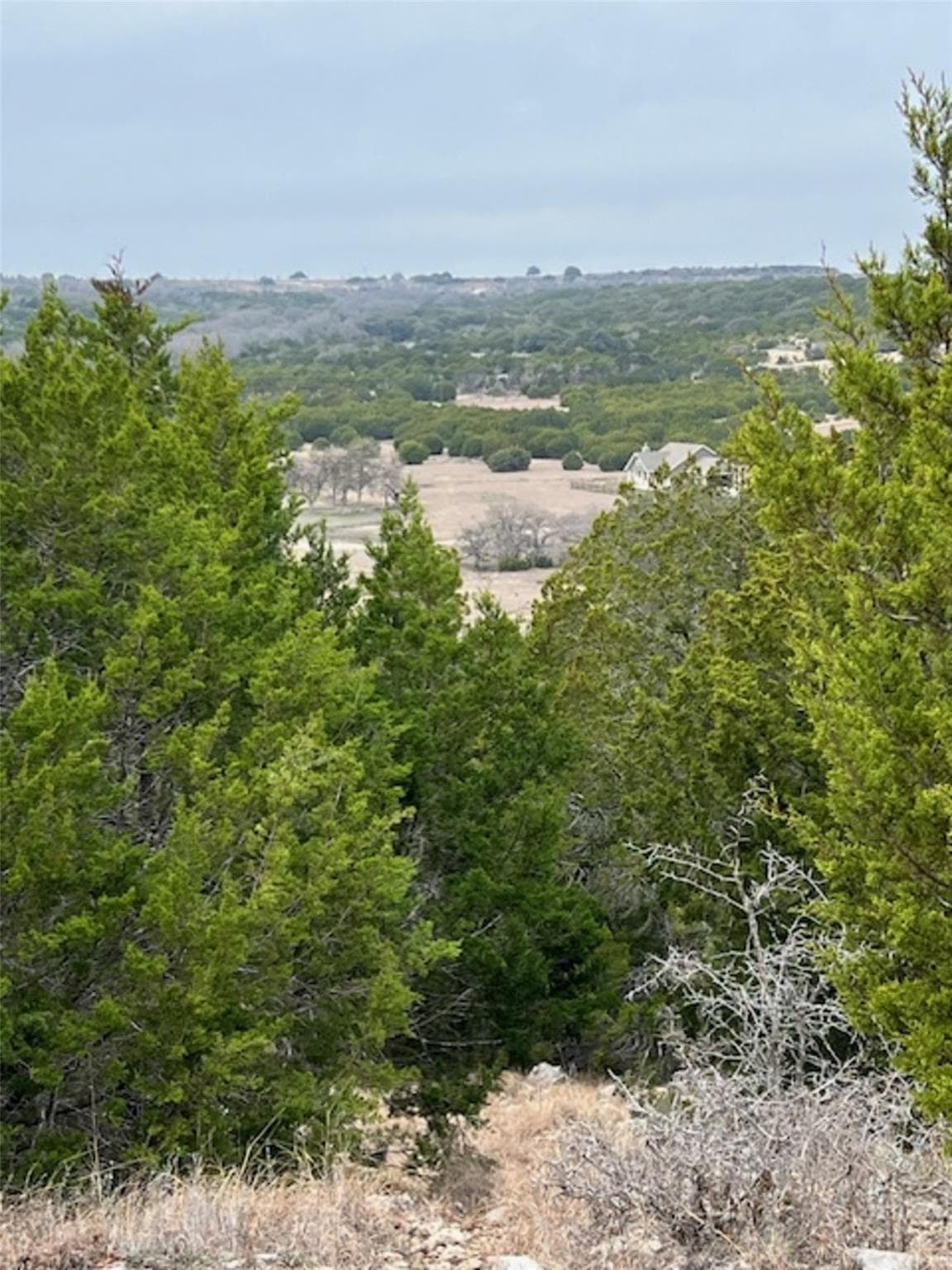 4238 E. FM 581 None