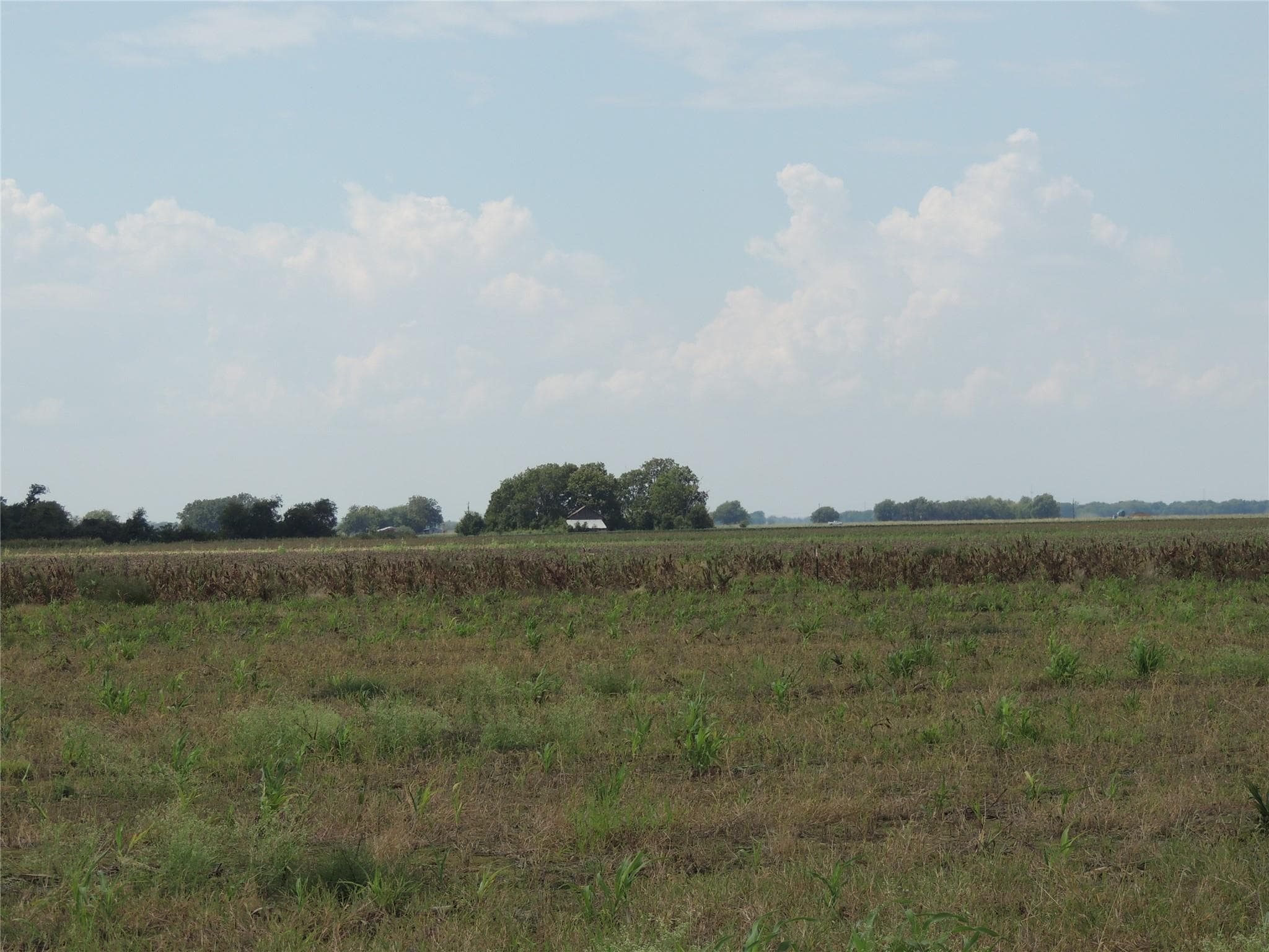 3374  County Road 405 None