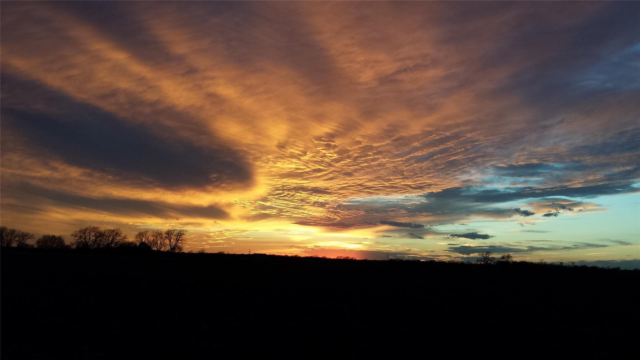 3402  County Road 405 None