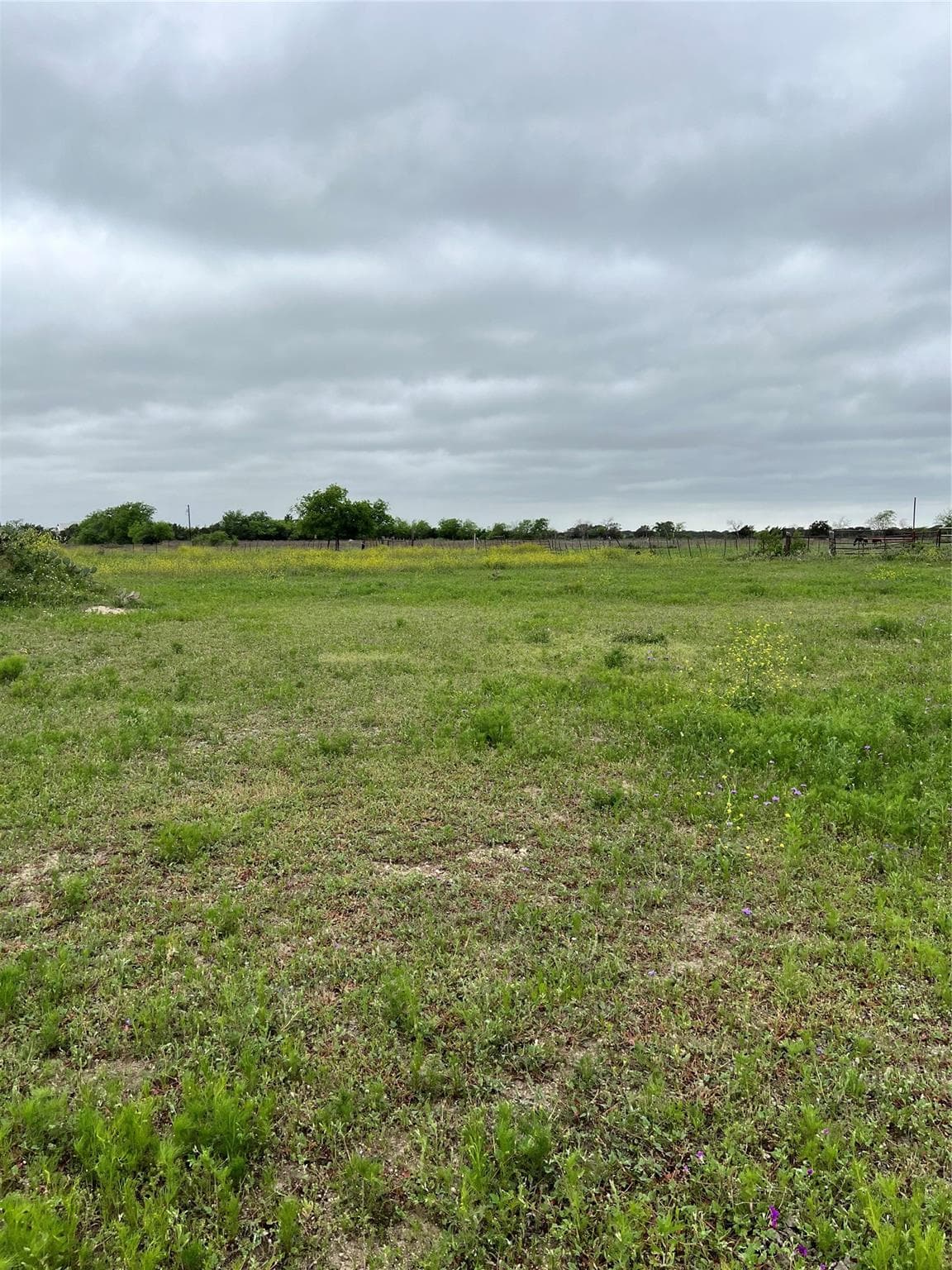 850  County Rd 219 None  