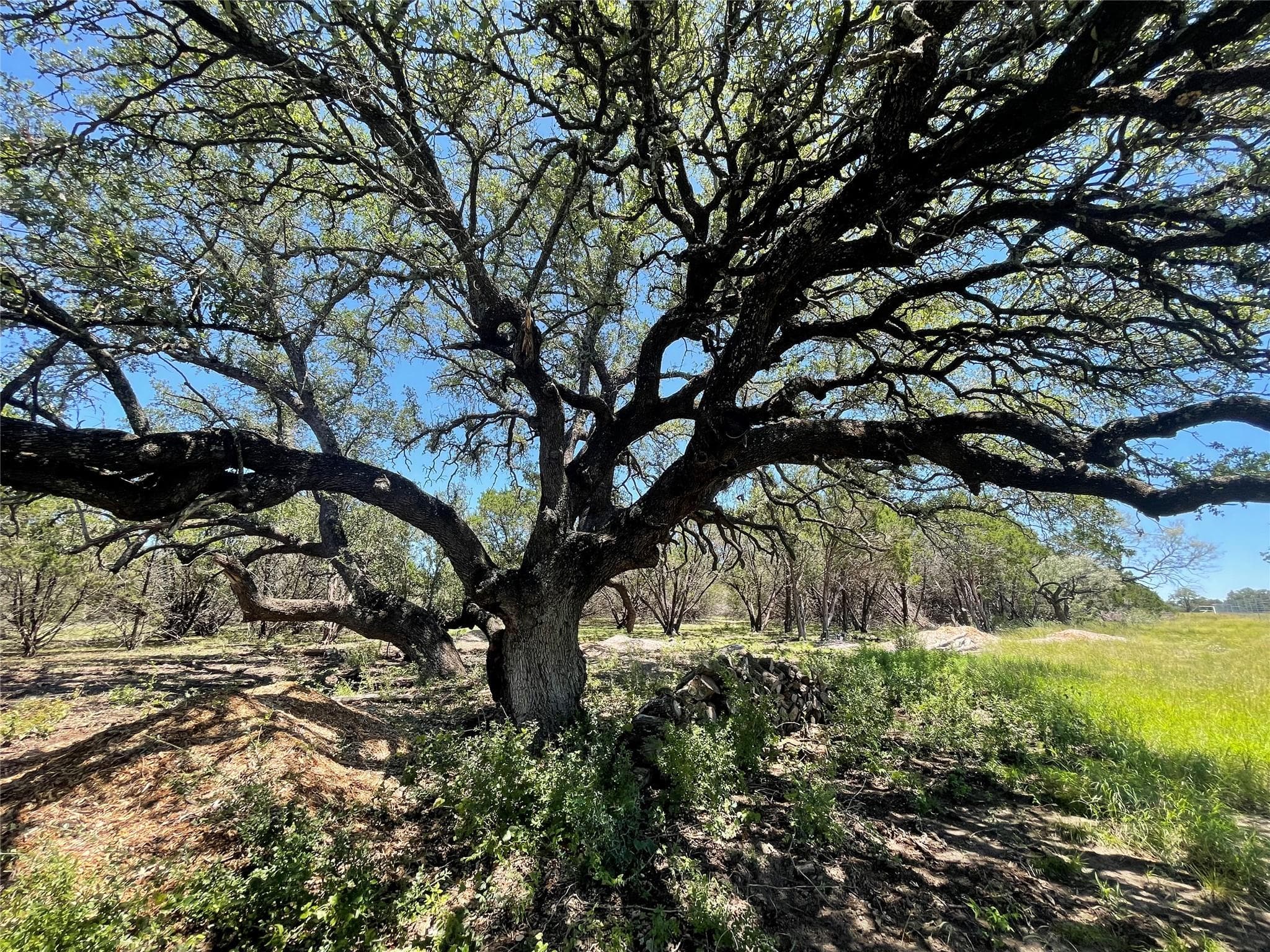 Lot 65  Estate View Circle None