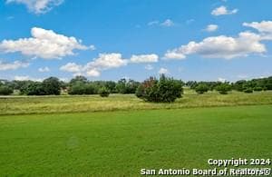 109  Frank Jones None  