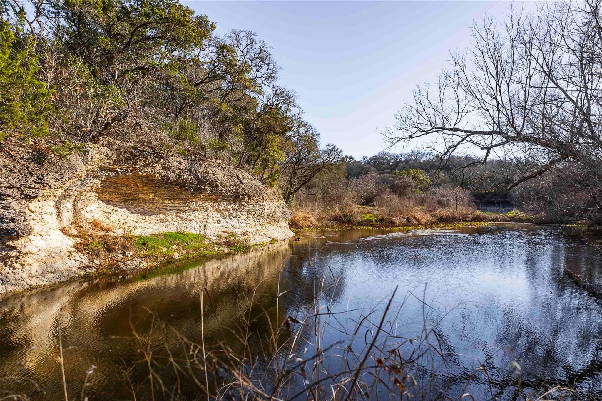 13017  Bob Johnson Ln  #C