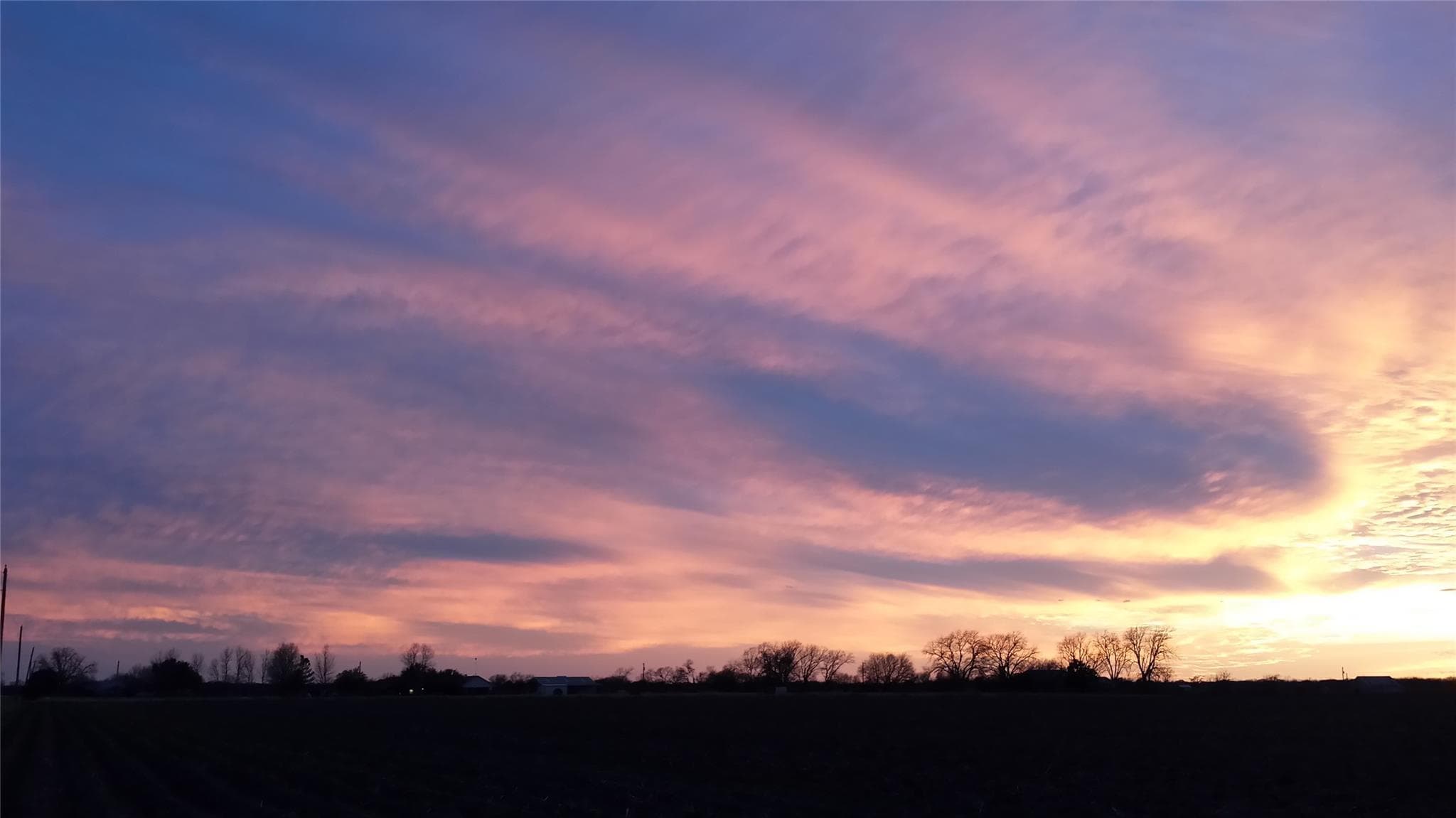 3530  County Road 405 None