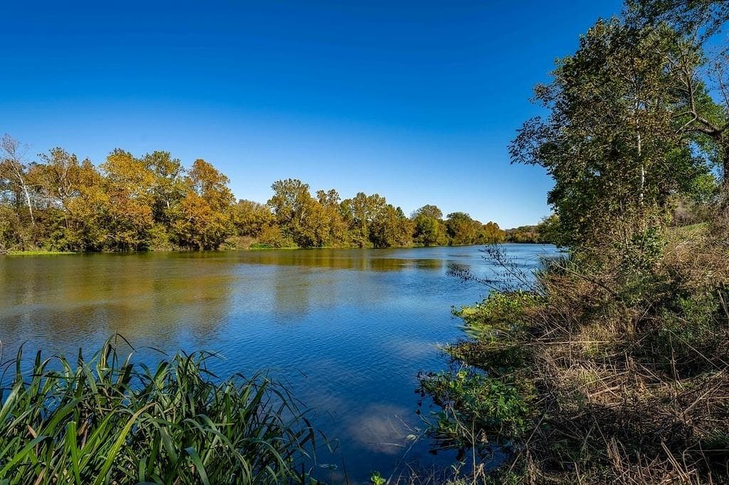 Lot 4 Fayette Shores Cove None
