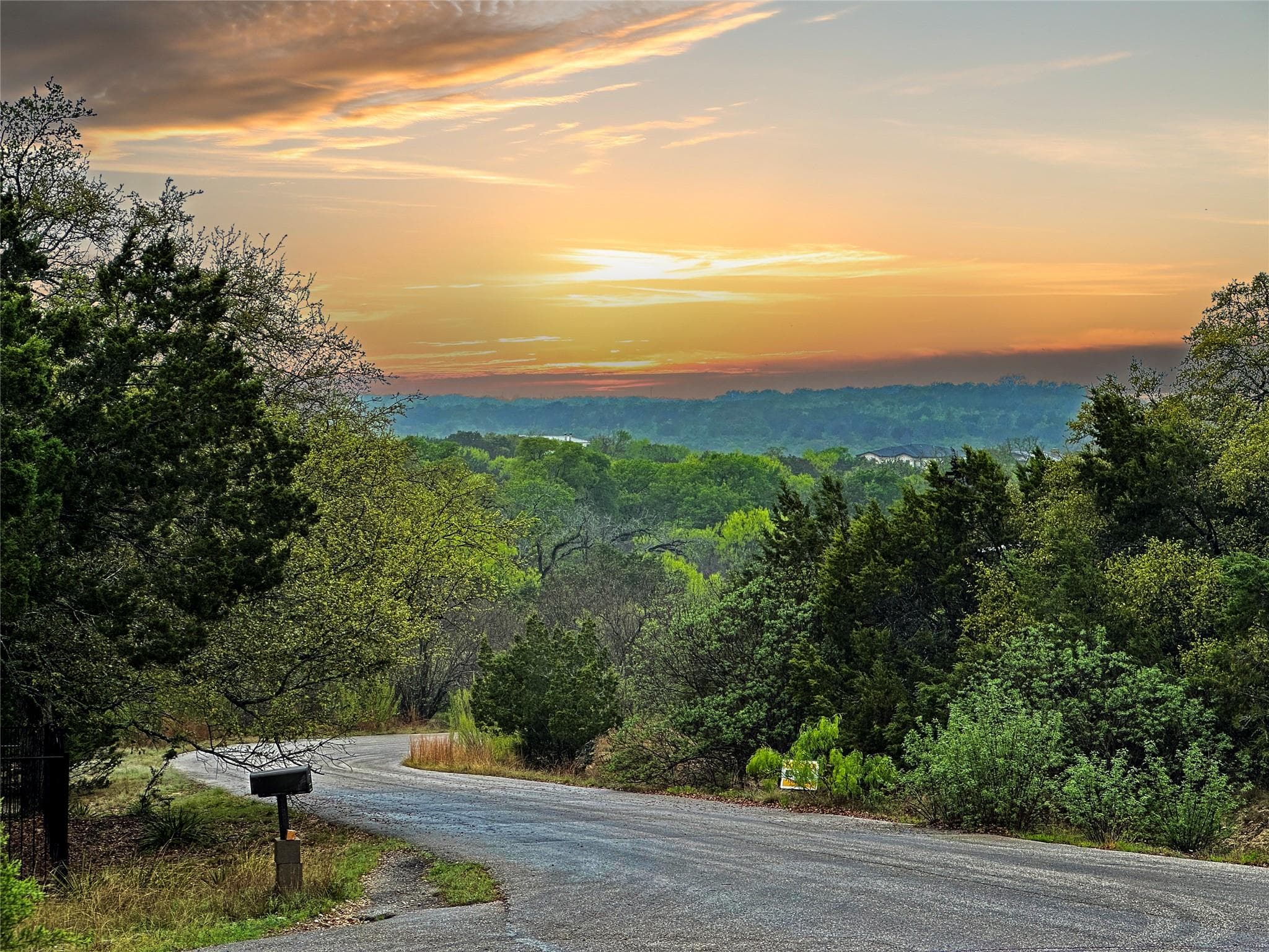 2907  Ticonderoga Cv  