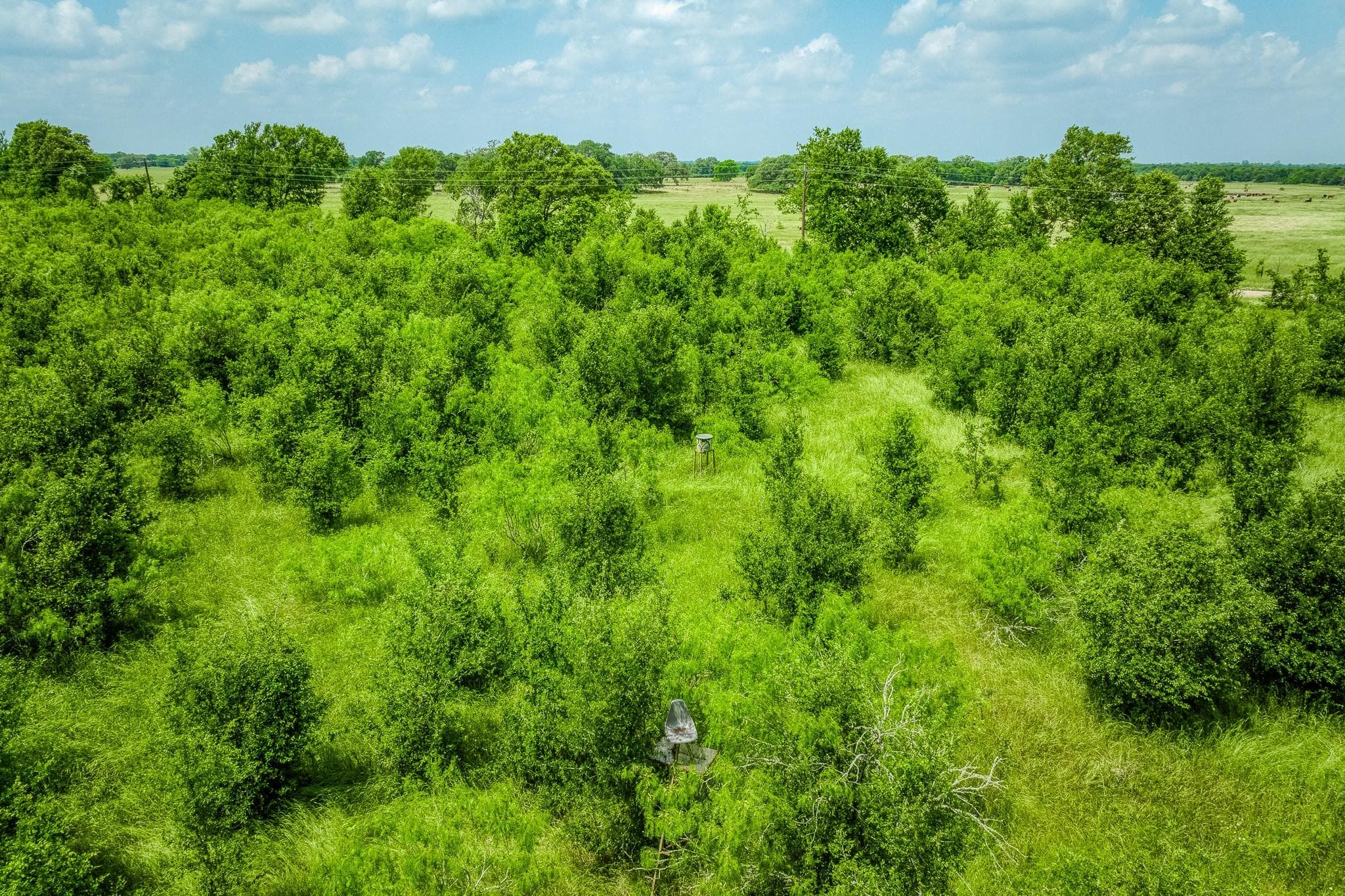10396 County Road 276 Land