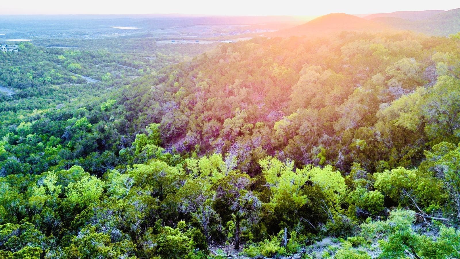 21305 & 21307  White Cloud Cv  