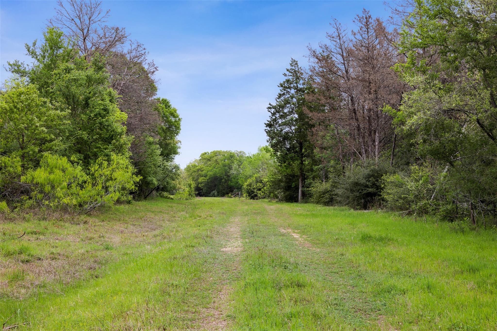 4822  Fm 1624 Rd