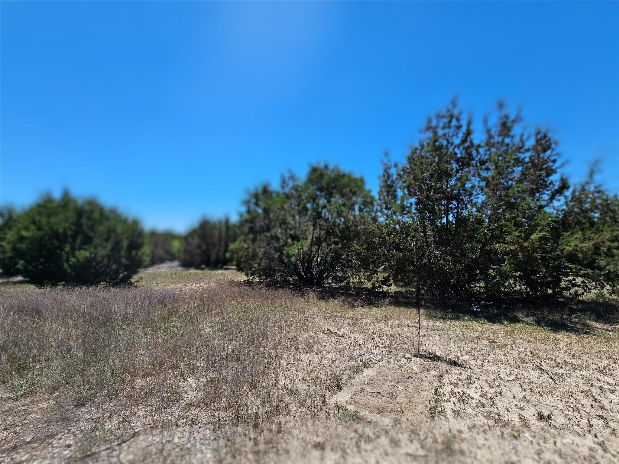 Lot 25  Alta Vista Dr  