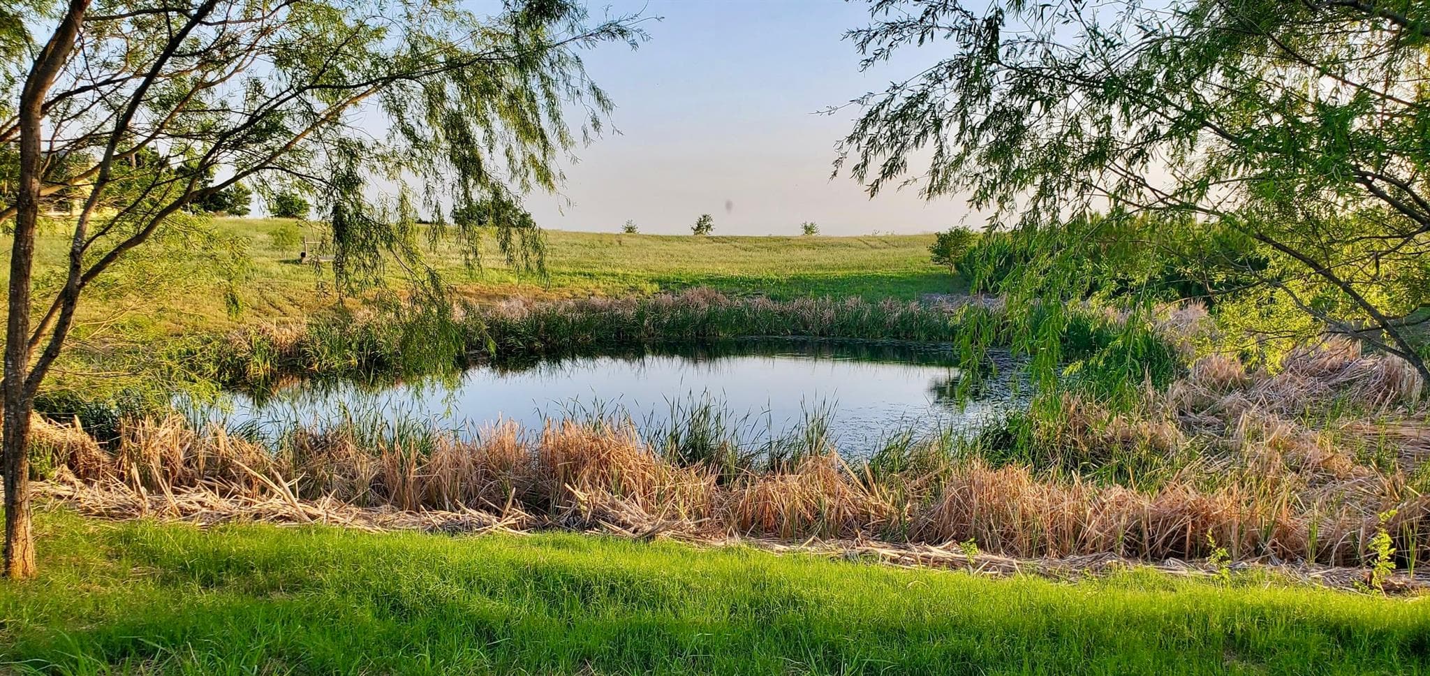 975  County Rd 458 (10 Acres) None  