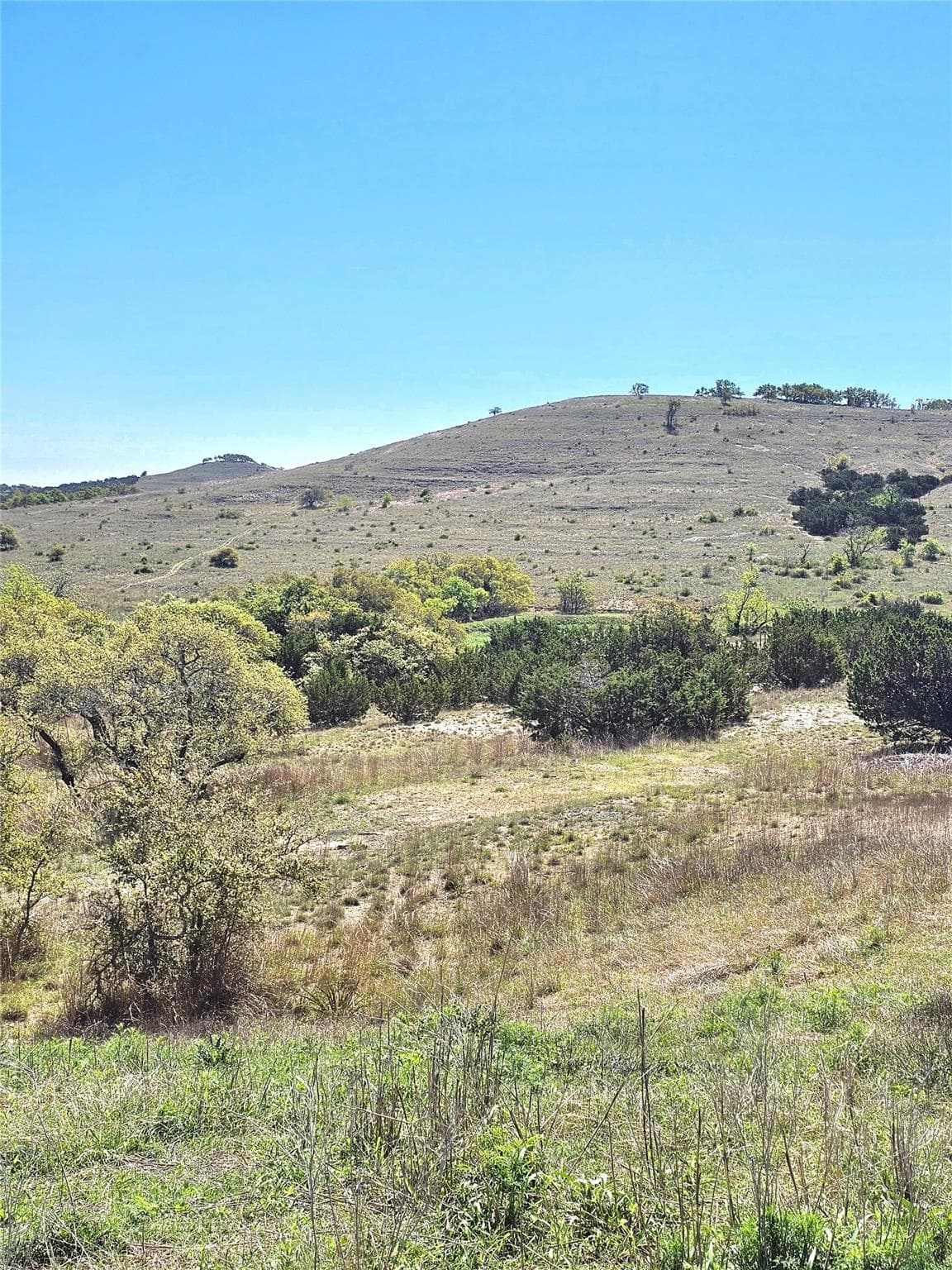 292 N Scenic Hills Ct  