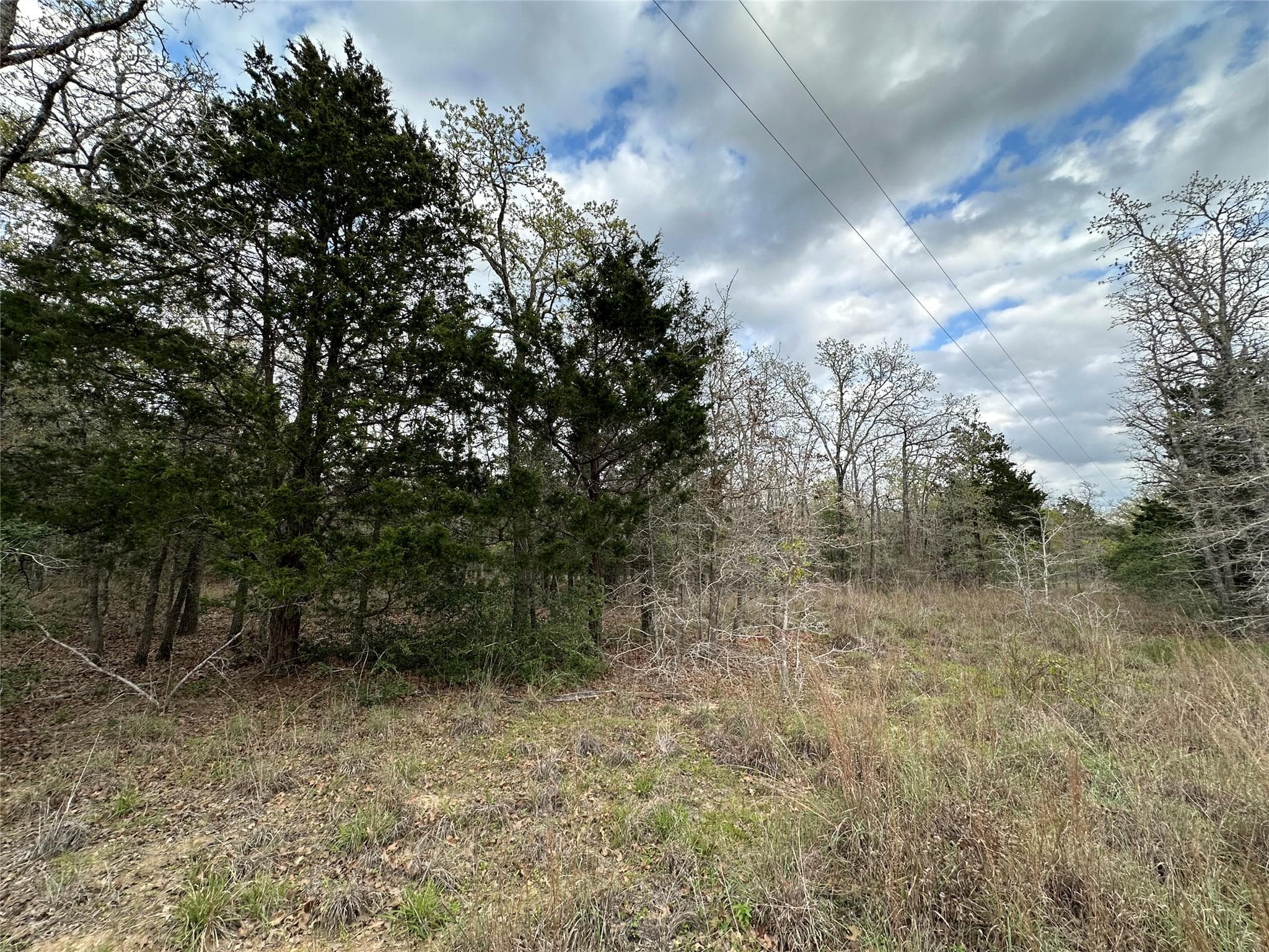 547  S. Old Potato Dr  