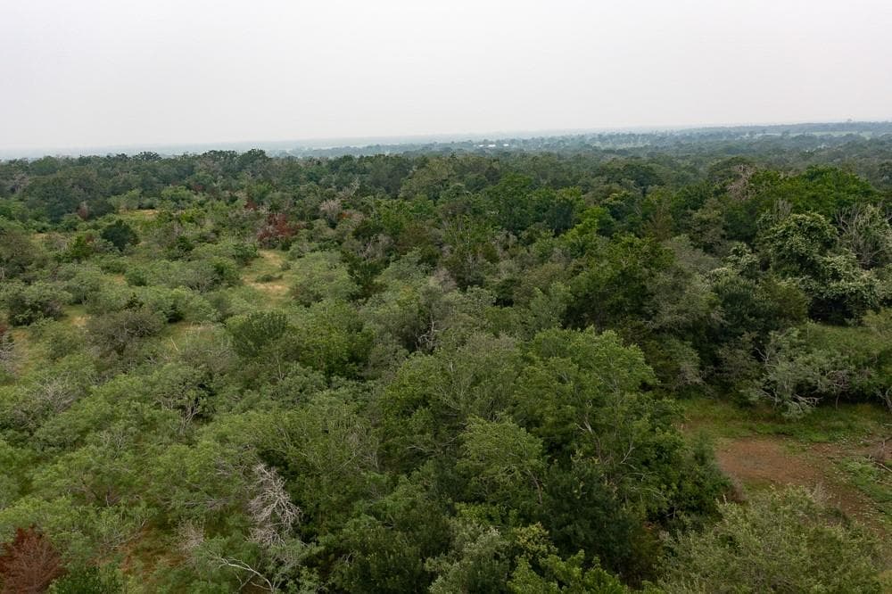 LOT 2  Private Road 4601 None