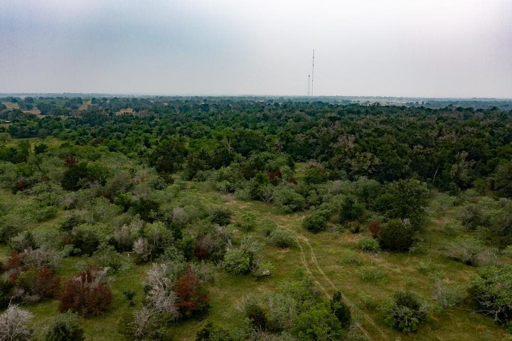 LOT 3  Private Road 4601 None