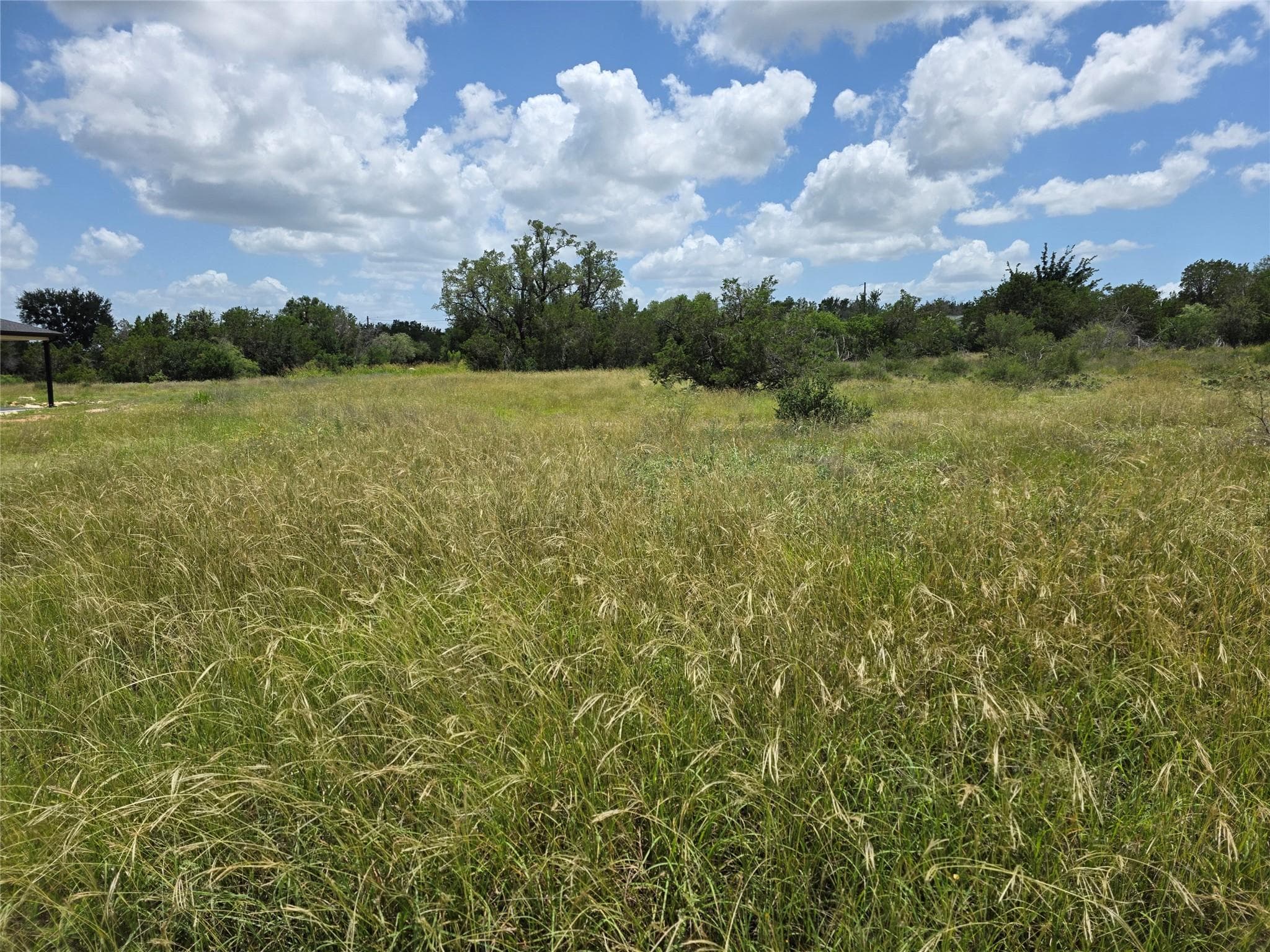 241  Spicewood Trails Dr  