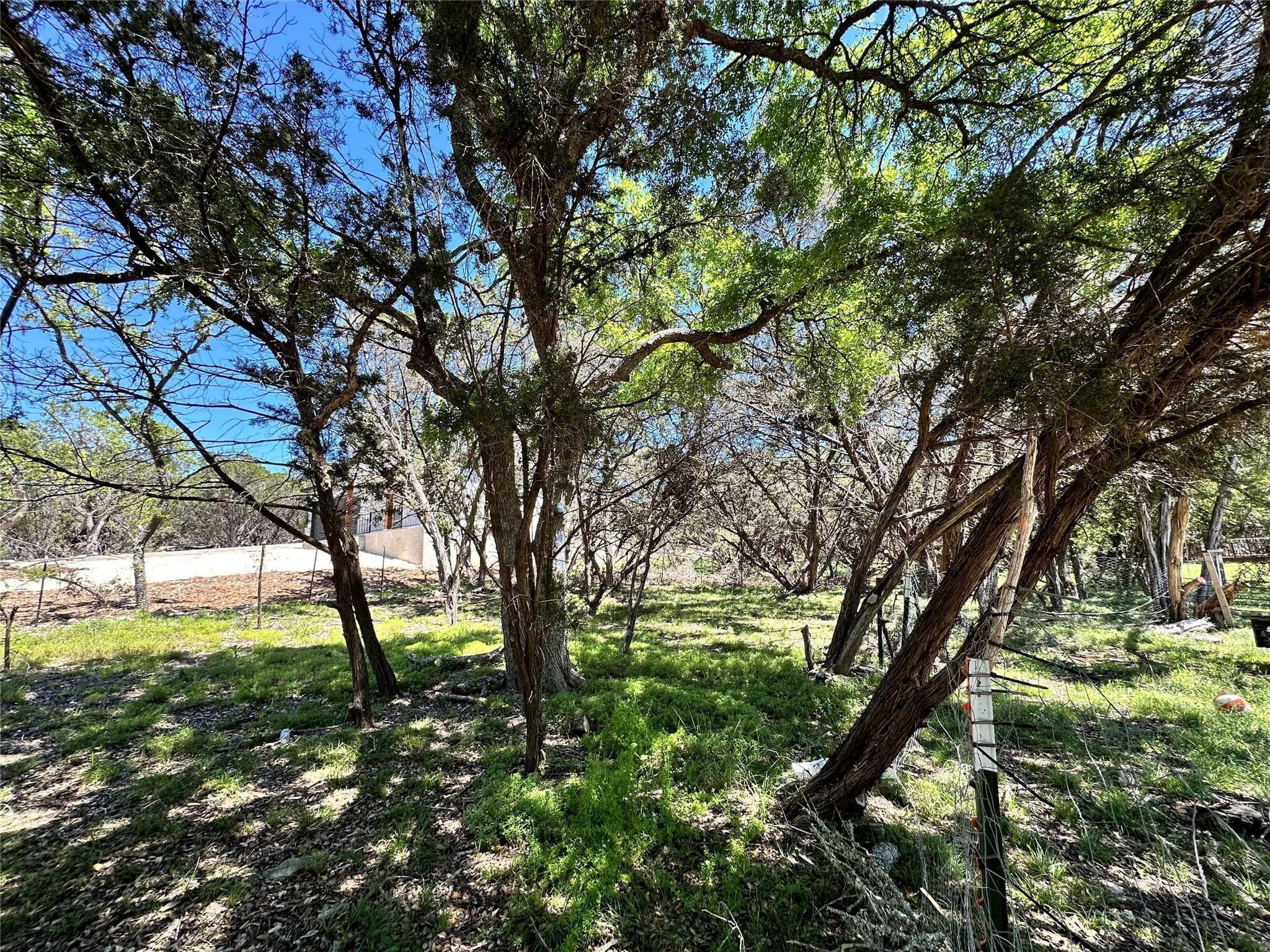 TBD  Mimosa St  