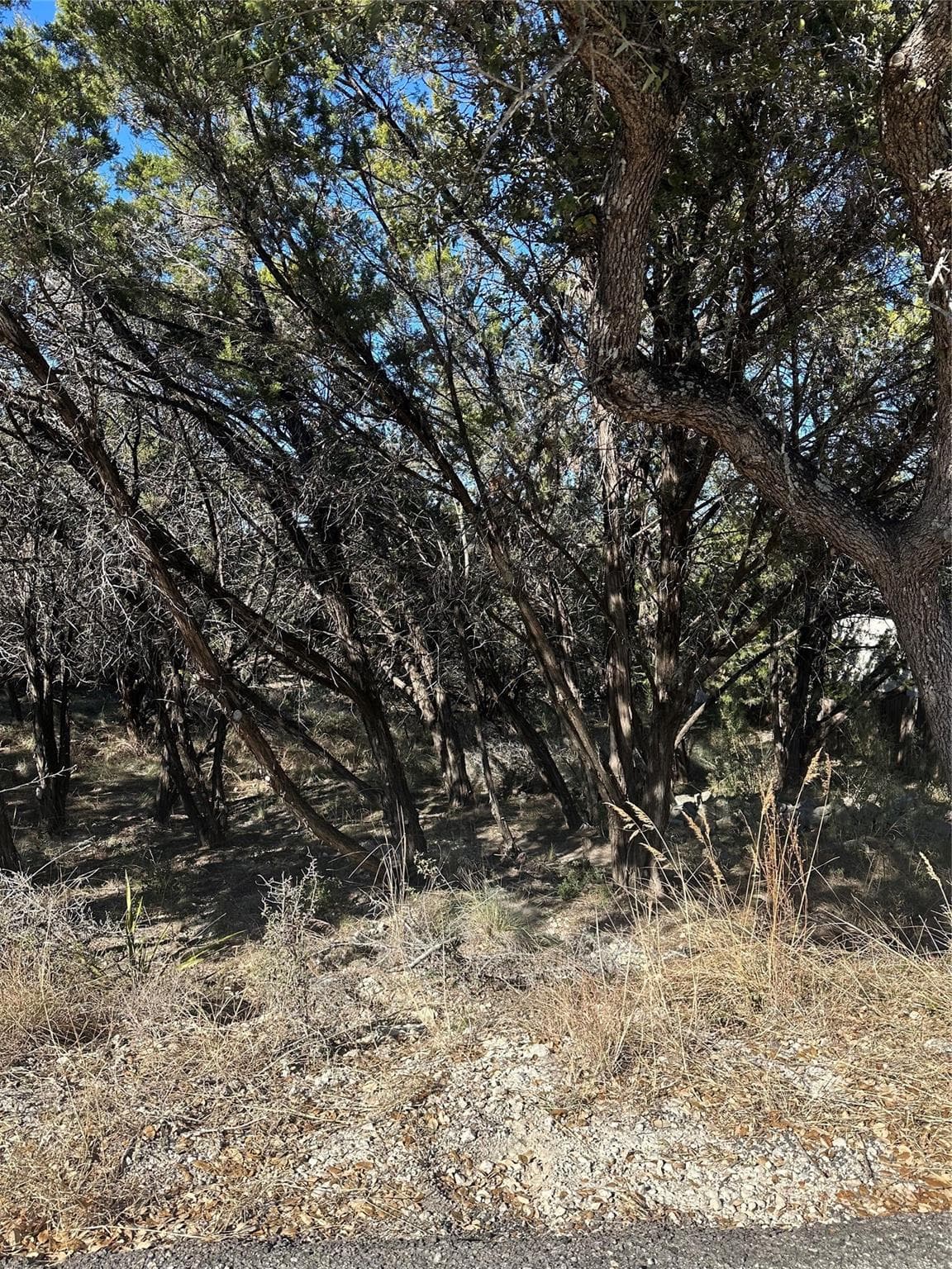 20700  Branding Iron None