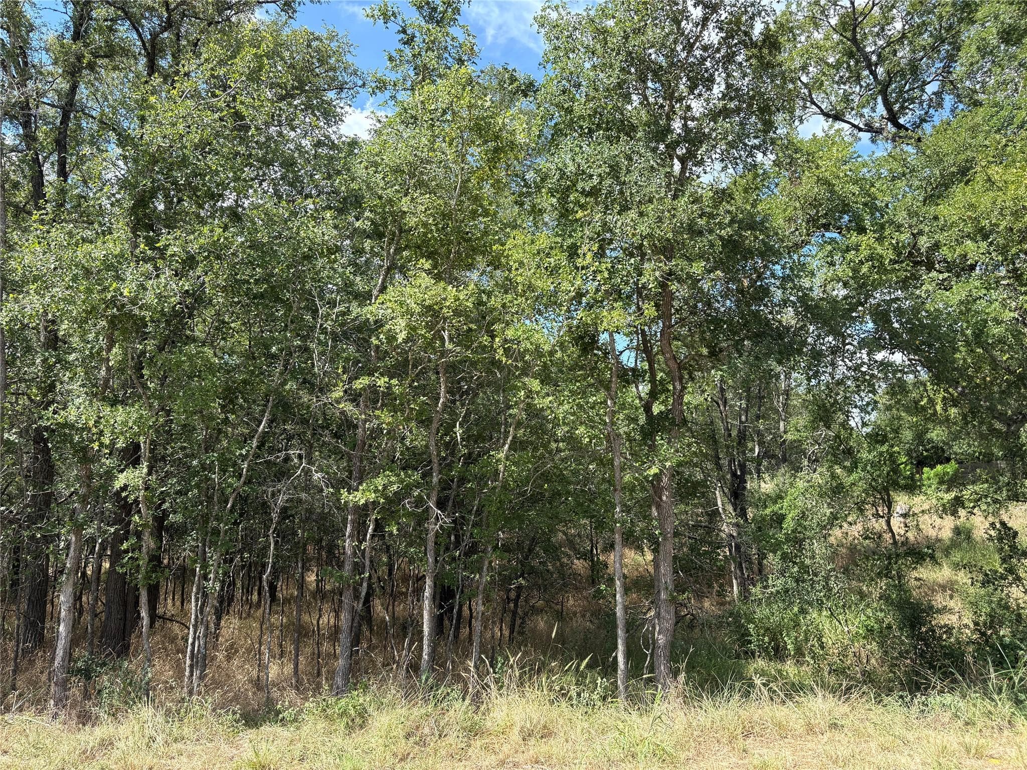 103 & 105 W Kikipua Ln