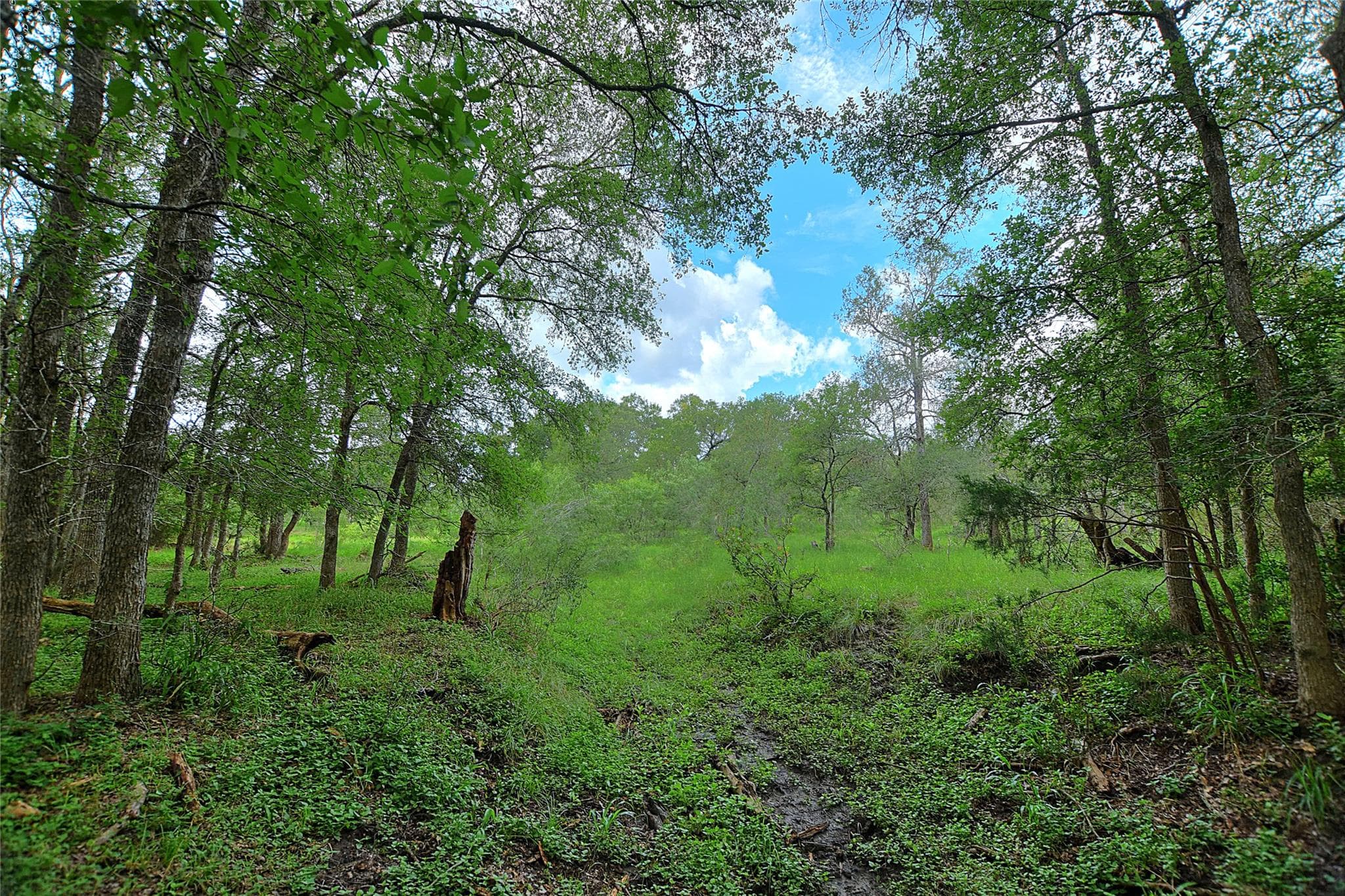 TBD E Whitworth Ln E