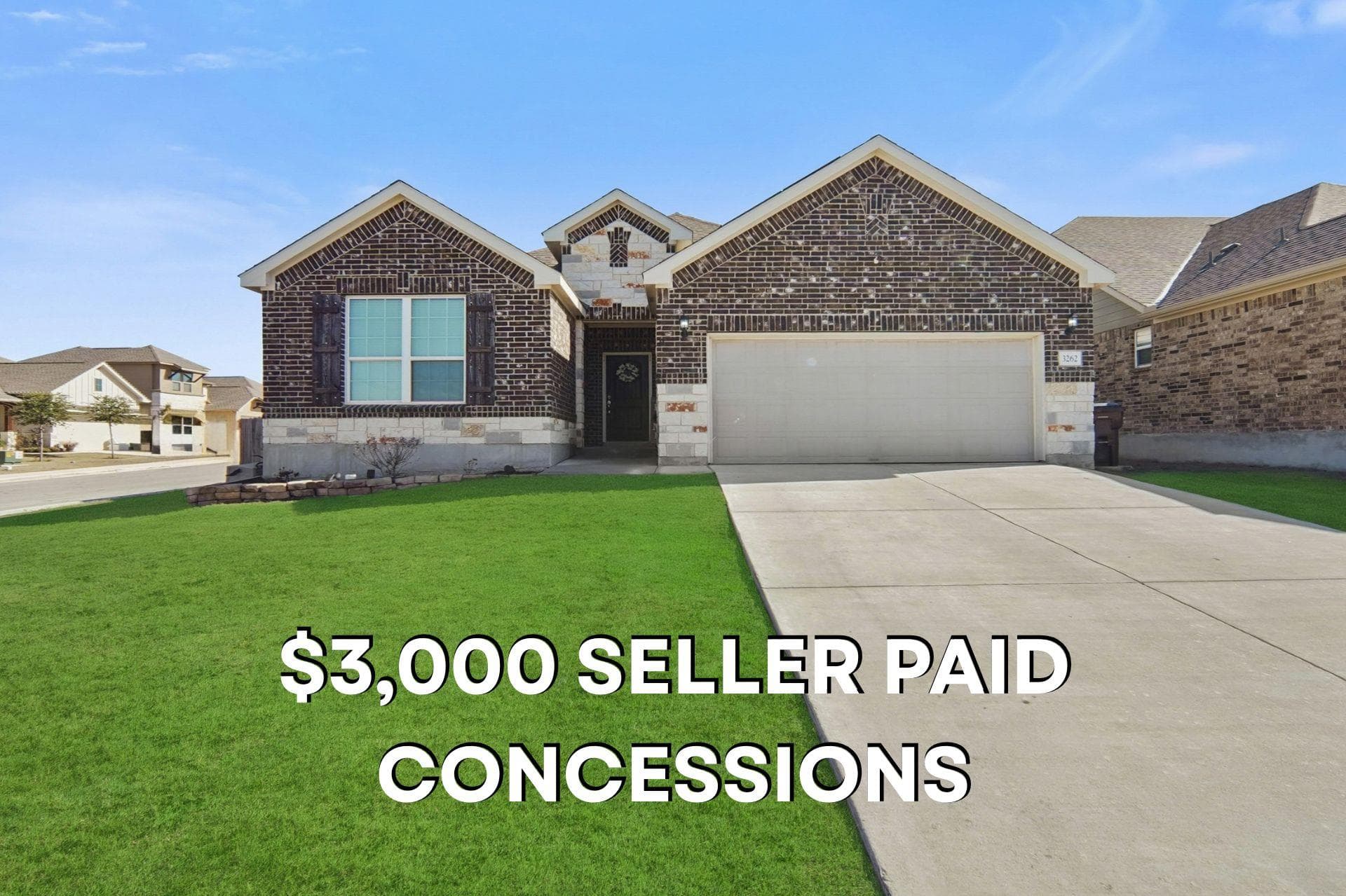 3262  Wild Iris None