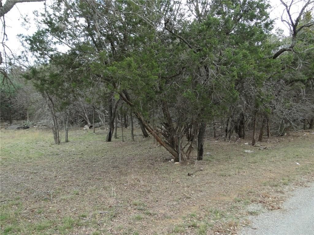 000 Magnolia Ln