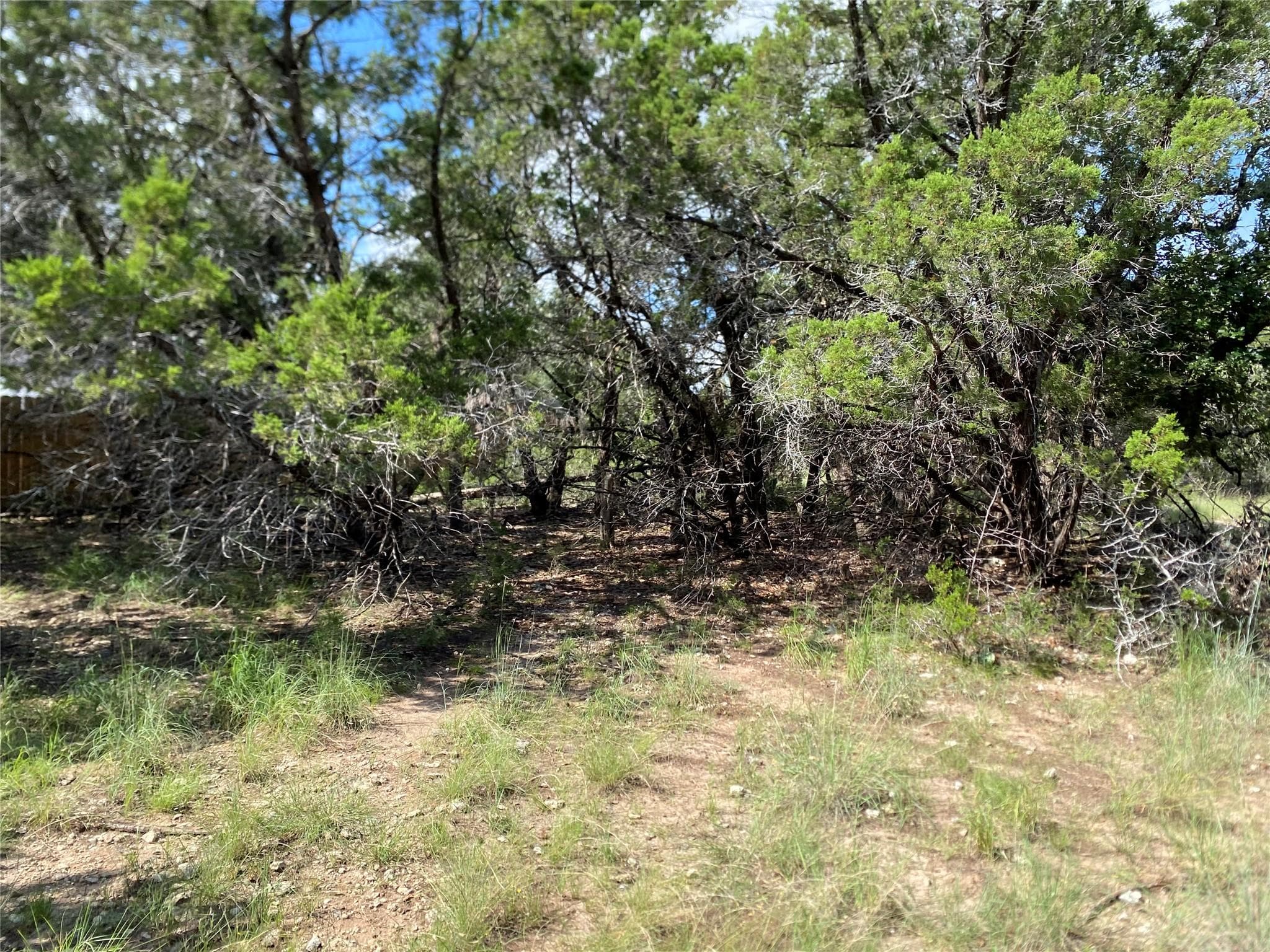 21105 Santa Rosa Ave