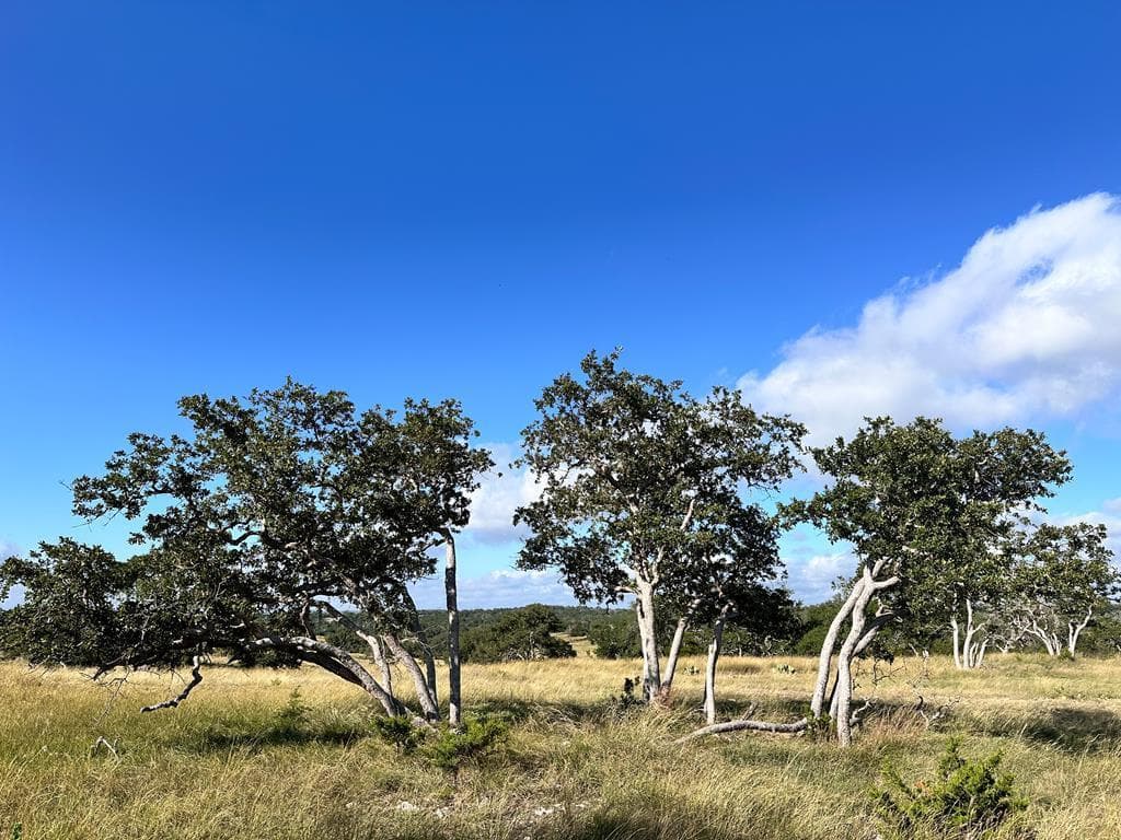 Lot 41  Buckskin Path Path  