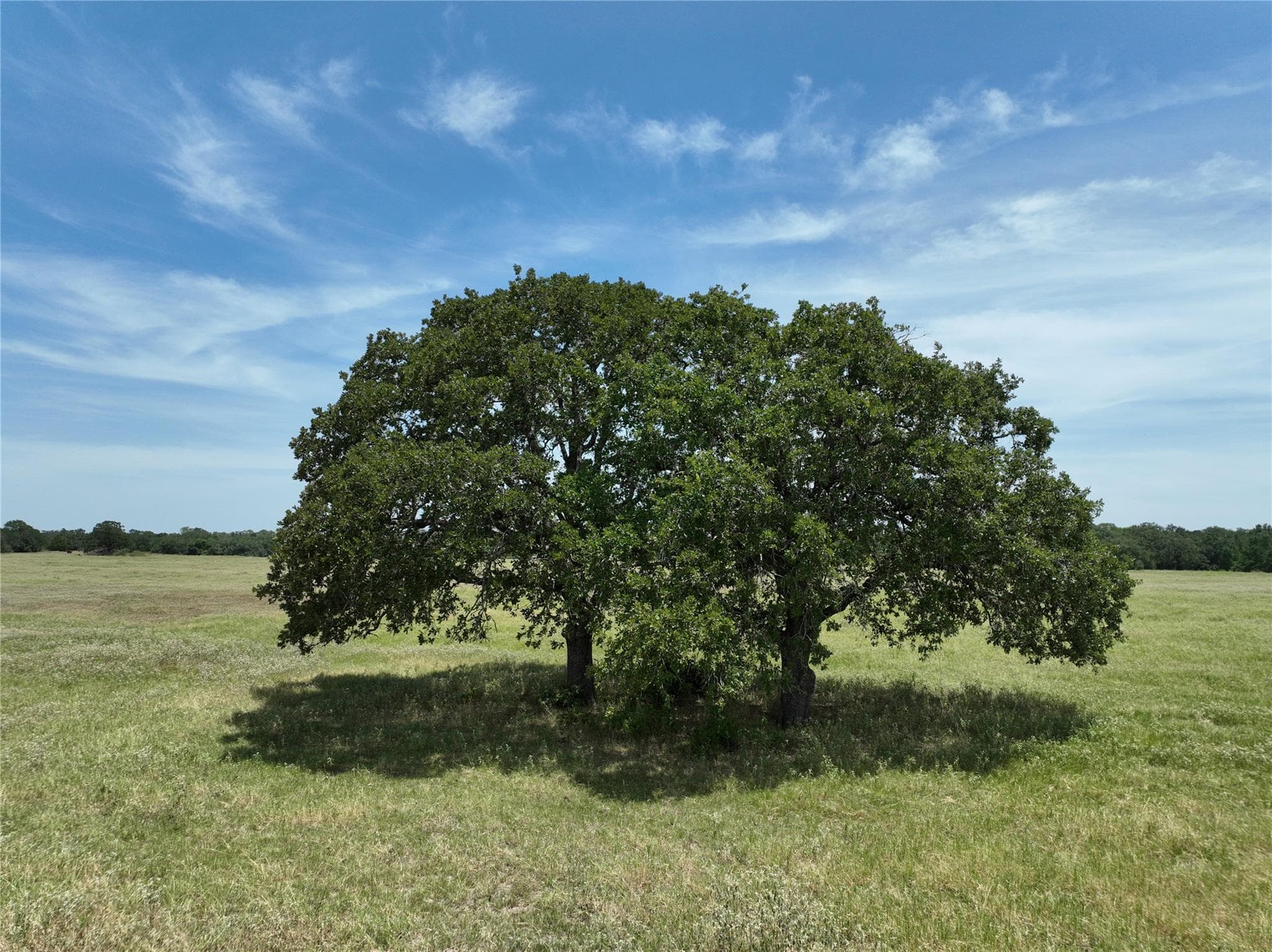 Lot 4 TBD CR 127 Rd