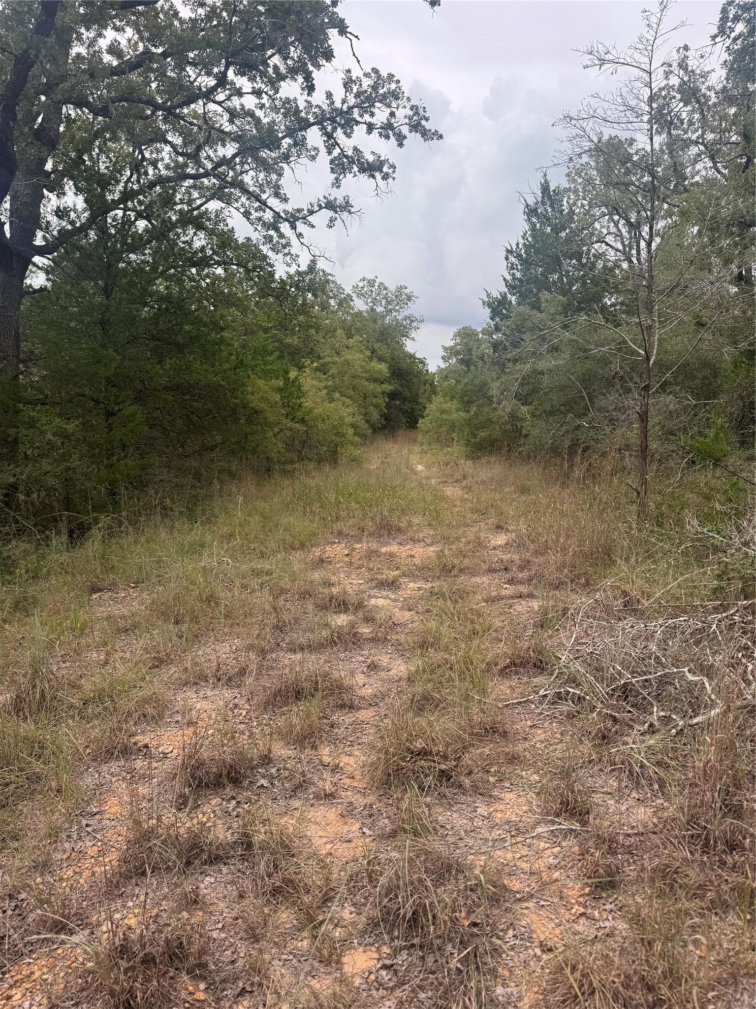Lot 6 Spruce St