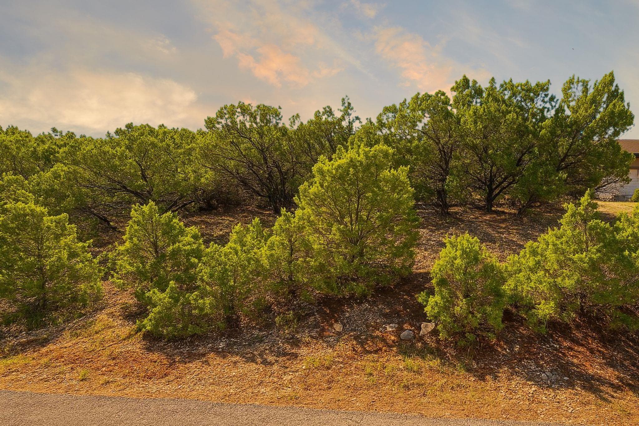 20607  Branding Iron None  