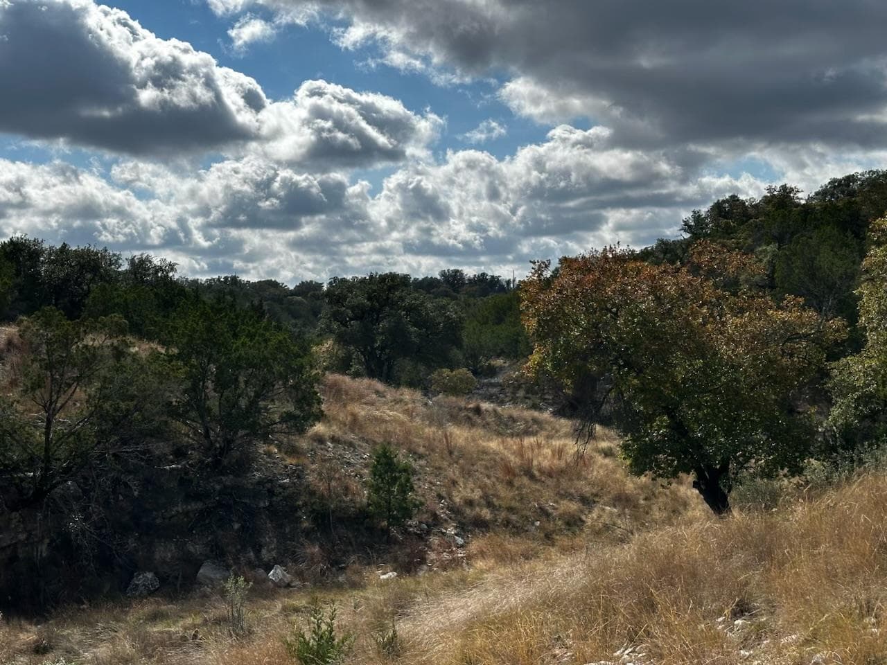 Lot 85, Seven Springs R. Spring Xing