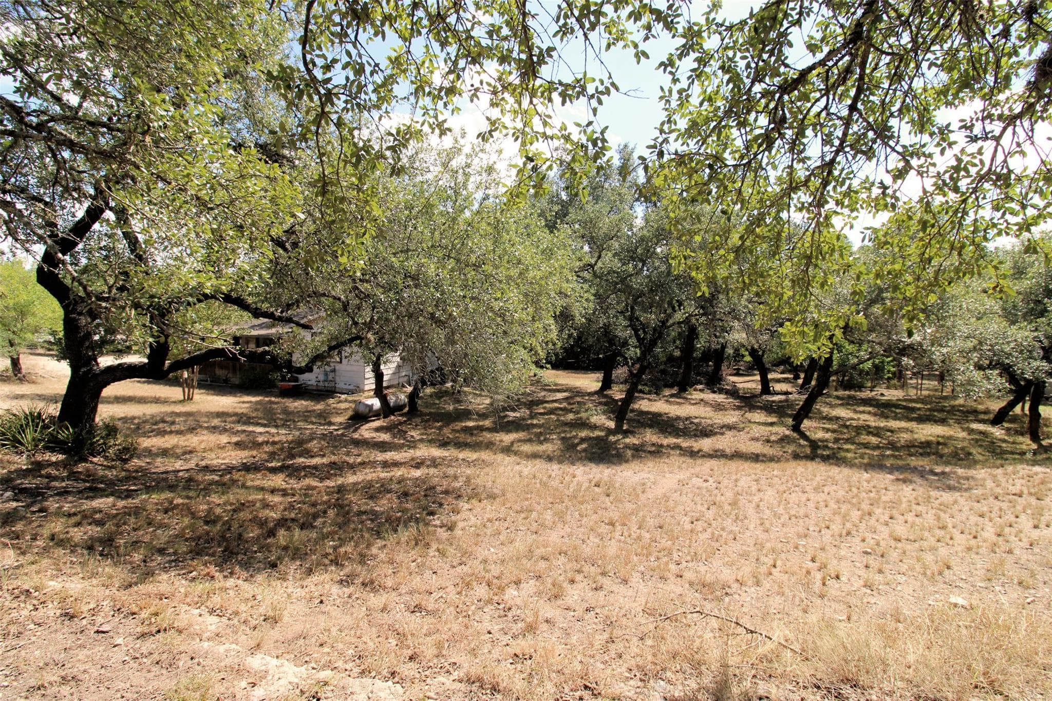 17201  Oak Cliff Cir