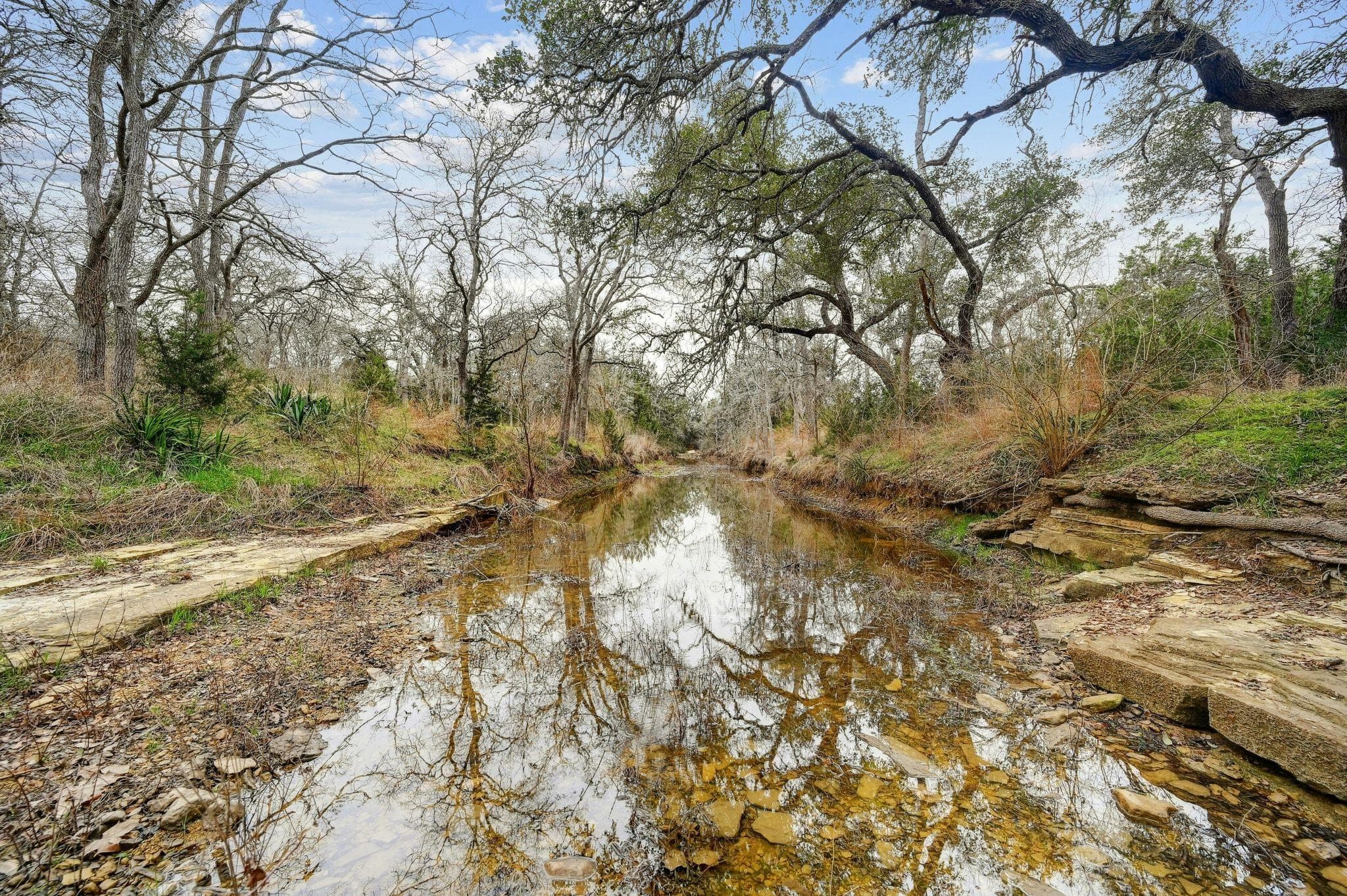 2147  TEJAS TRAIL None