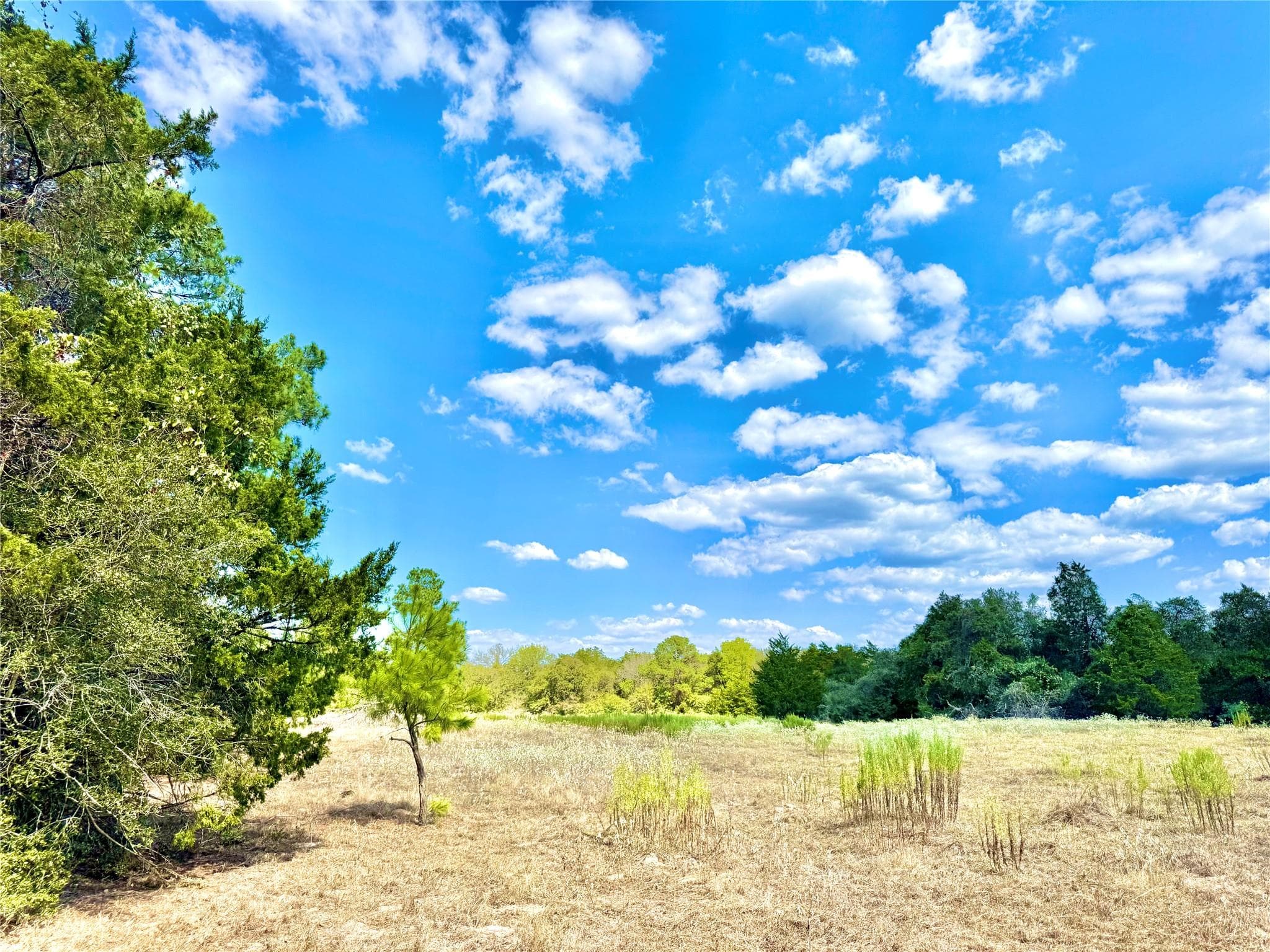 TBD 50.62 Acres  Rabel Rd