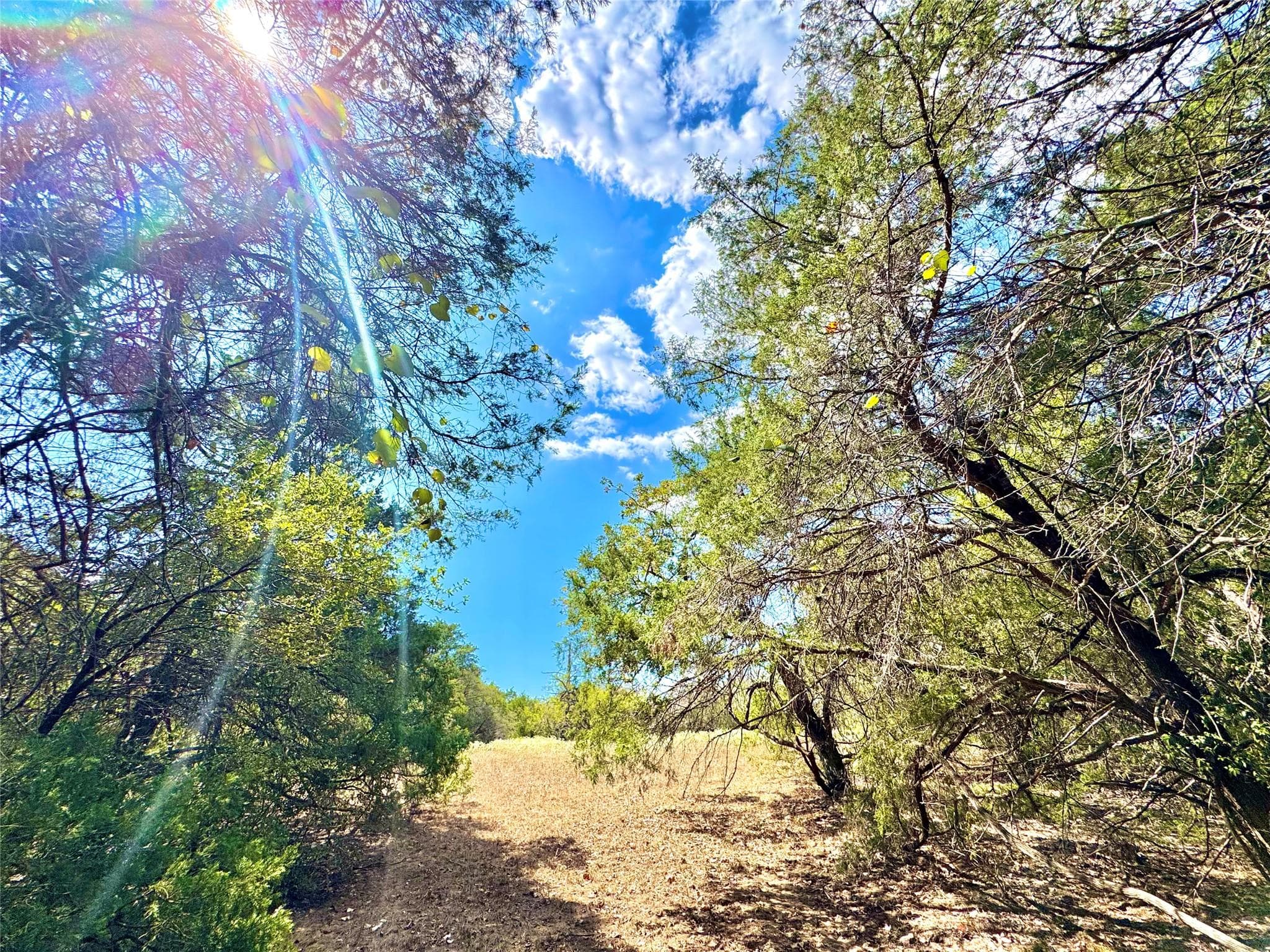 TBD 50.62 Acres Rabel Rd