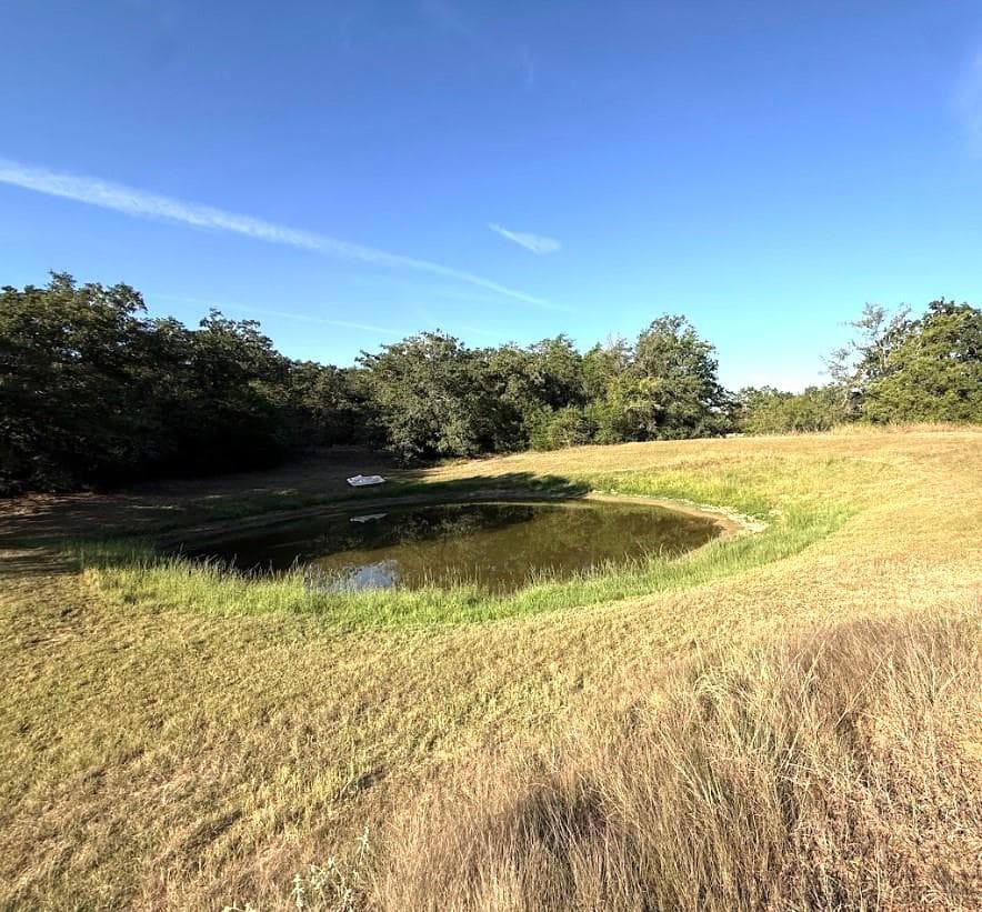 1127  County Road 234 Rd