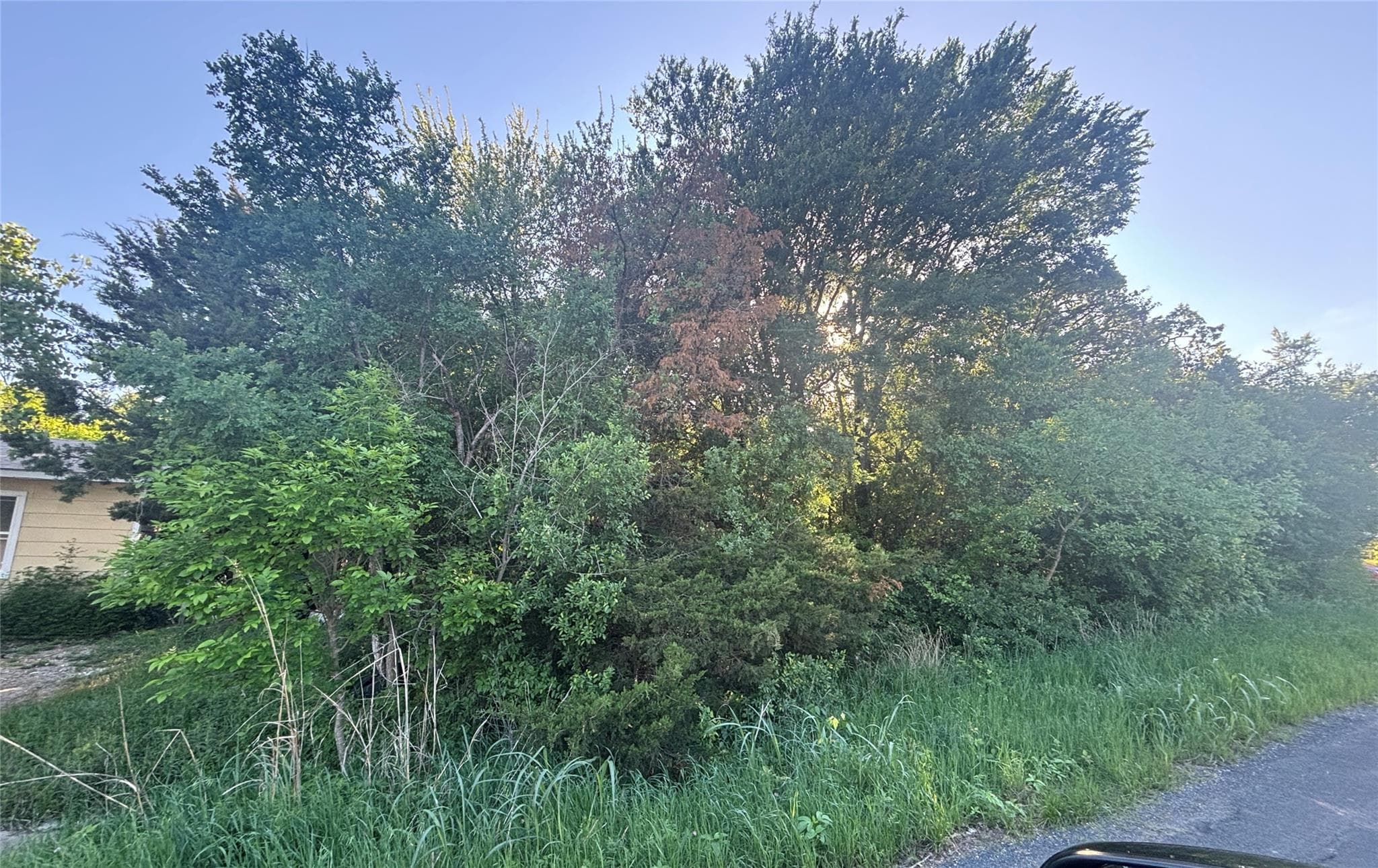 5510  Bitterwood Dr