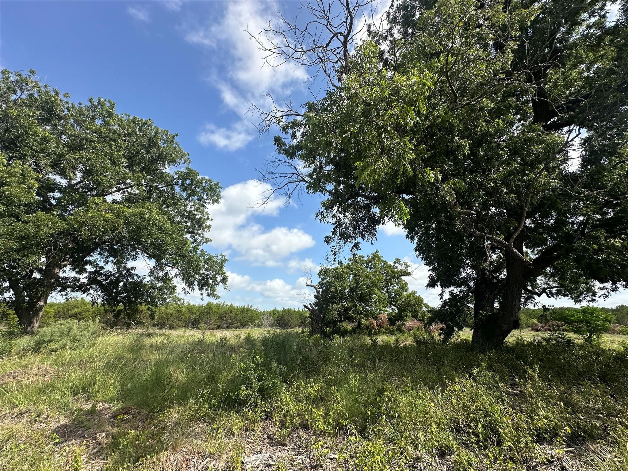 TBD  County Road 1255 None