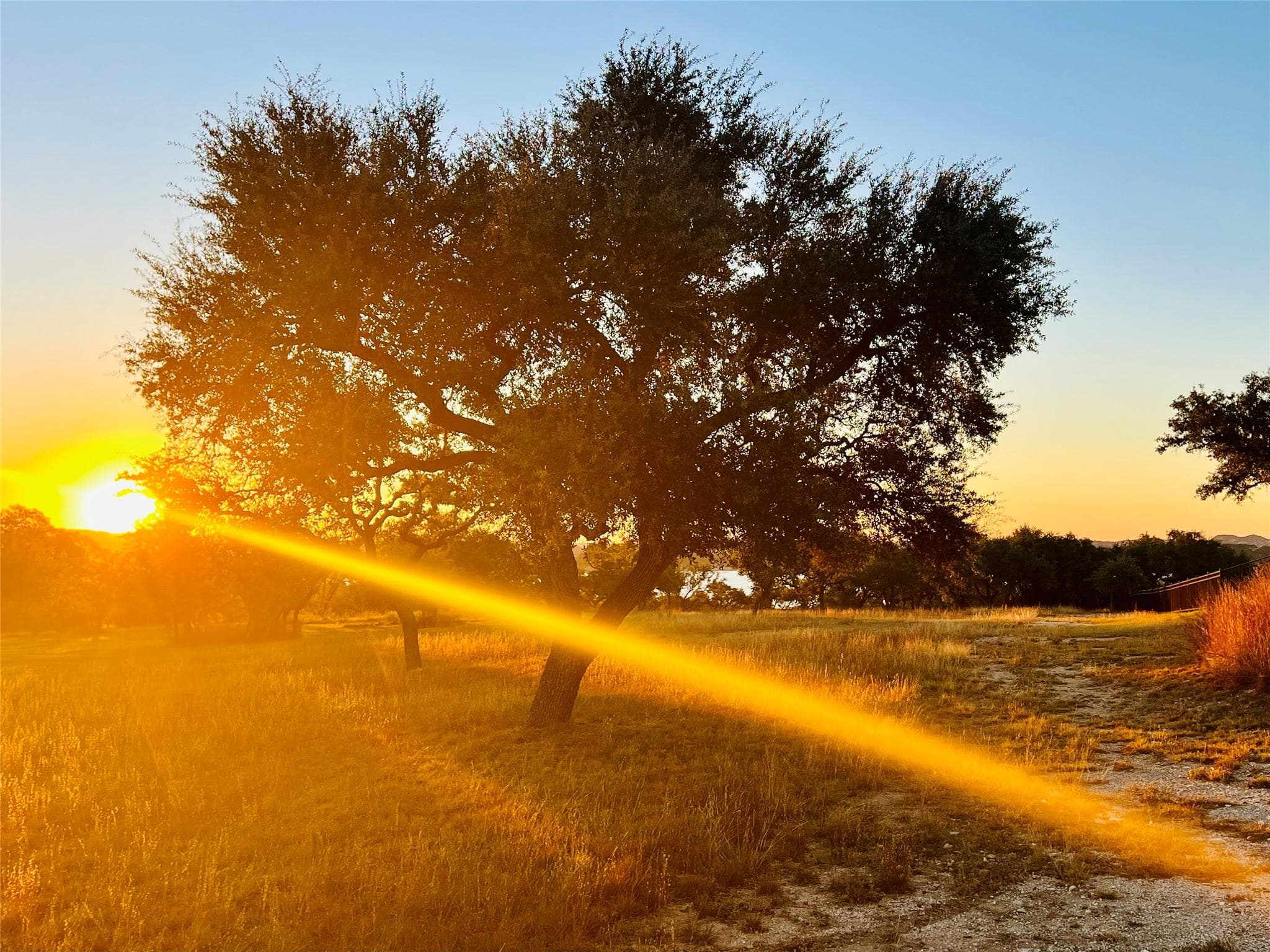 1217  Libby Lookout None